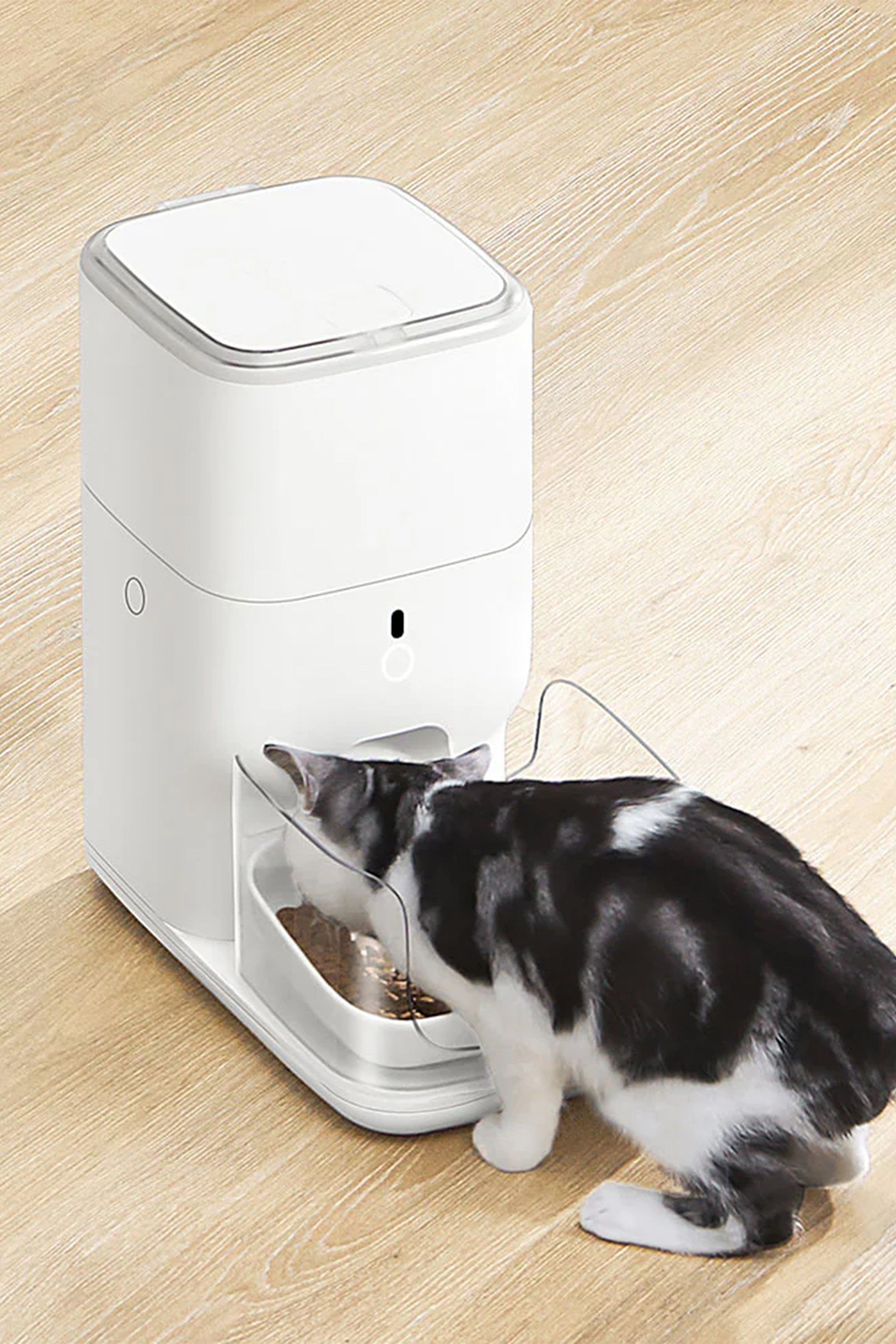 CATLINK Otomatik Mama Kabı 4 Lt