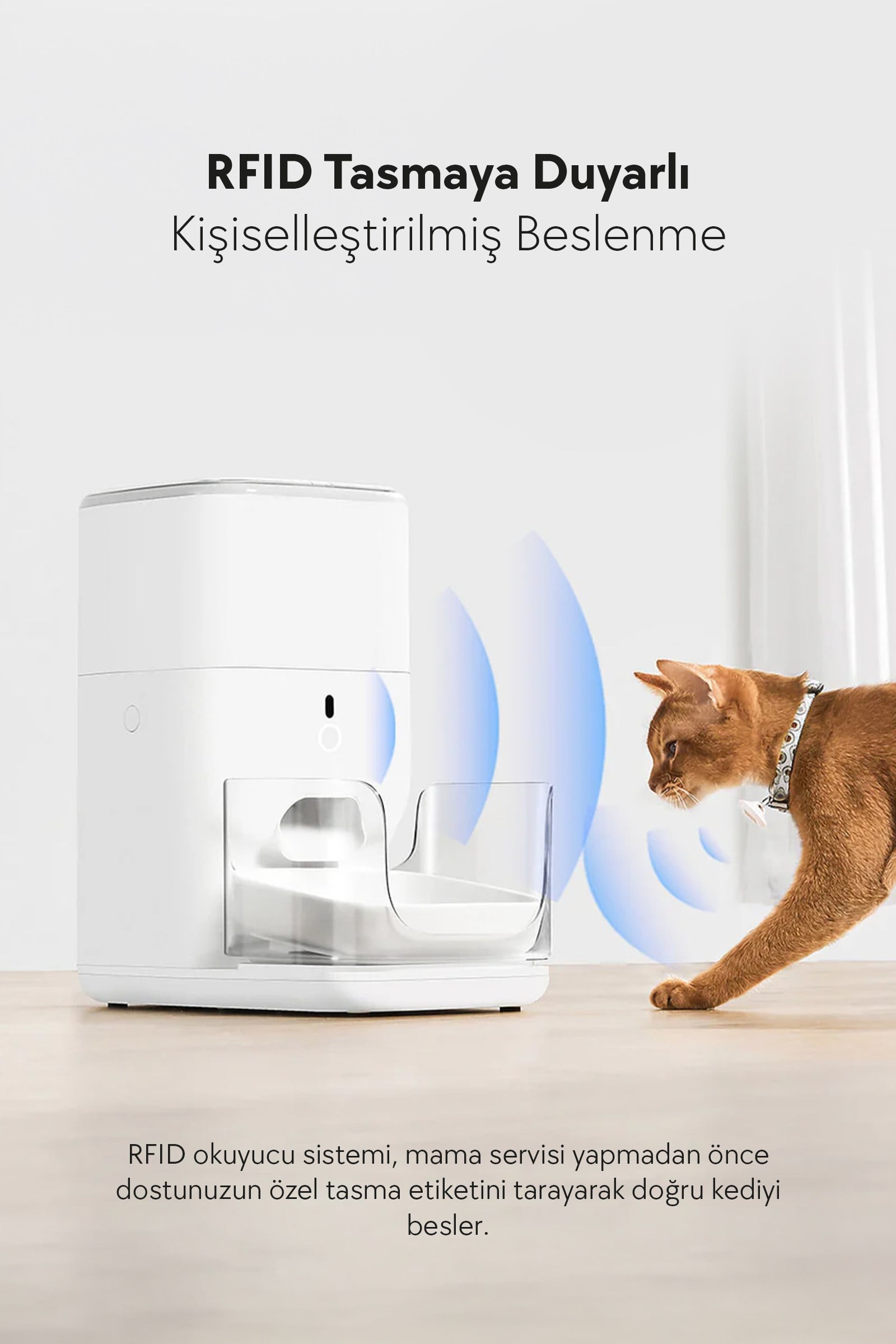 CATLINK Otomatik Mama Kabı 4 Lt PRO