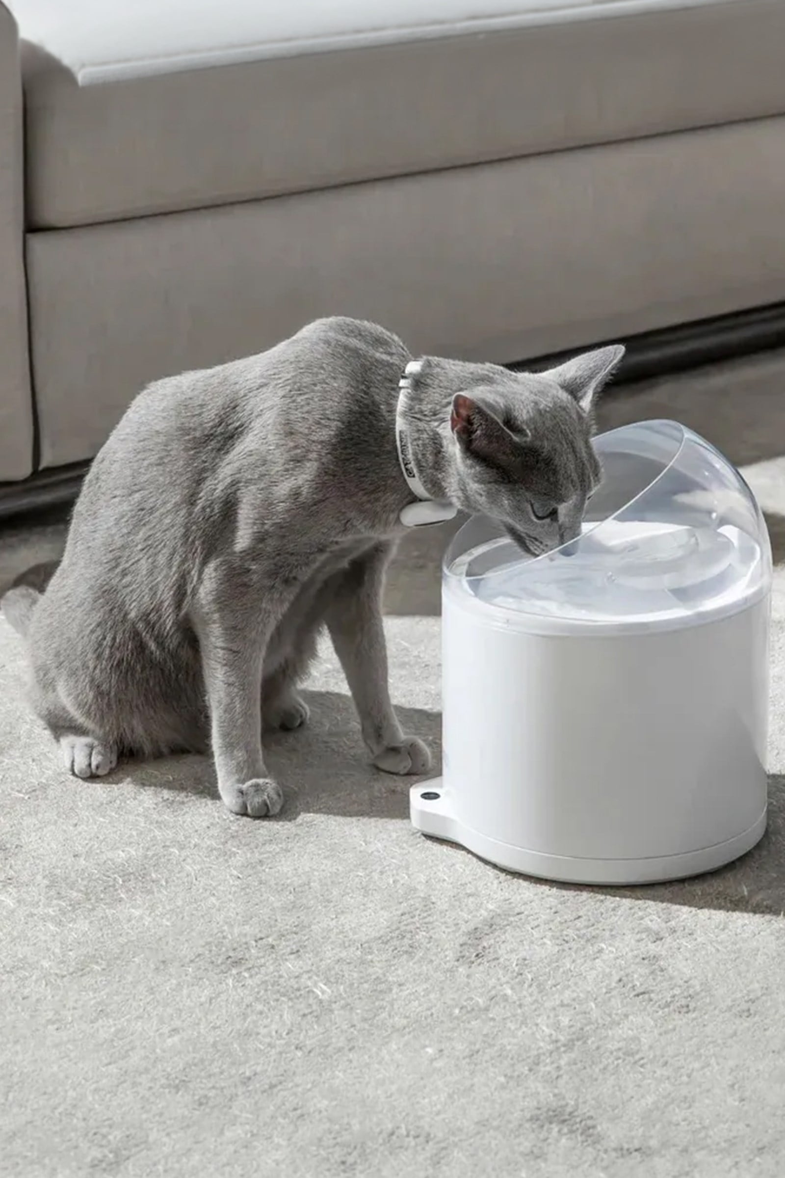 CATLINK Su Pınarı – Pure 2 UV, 2.6 Lt