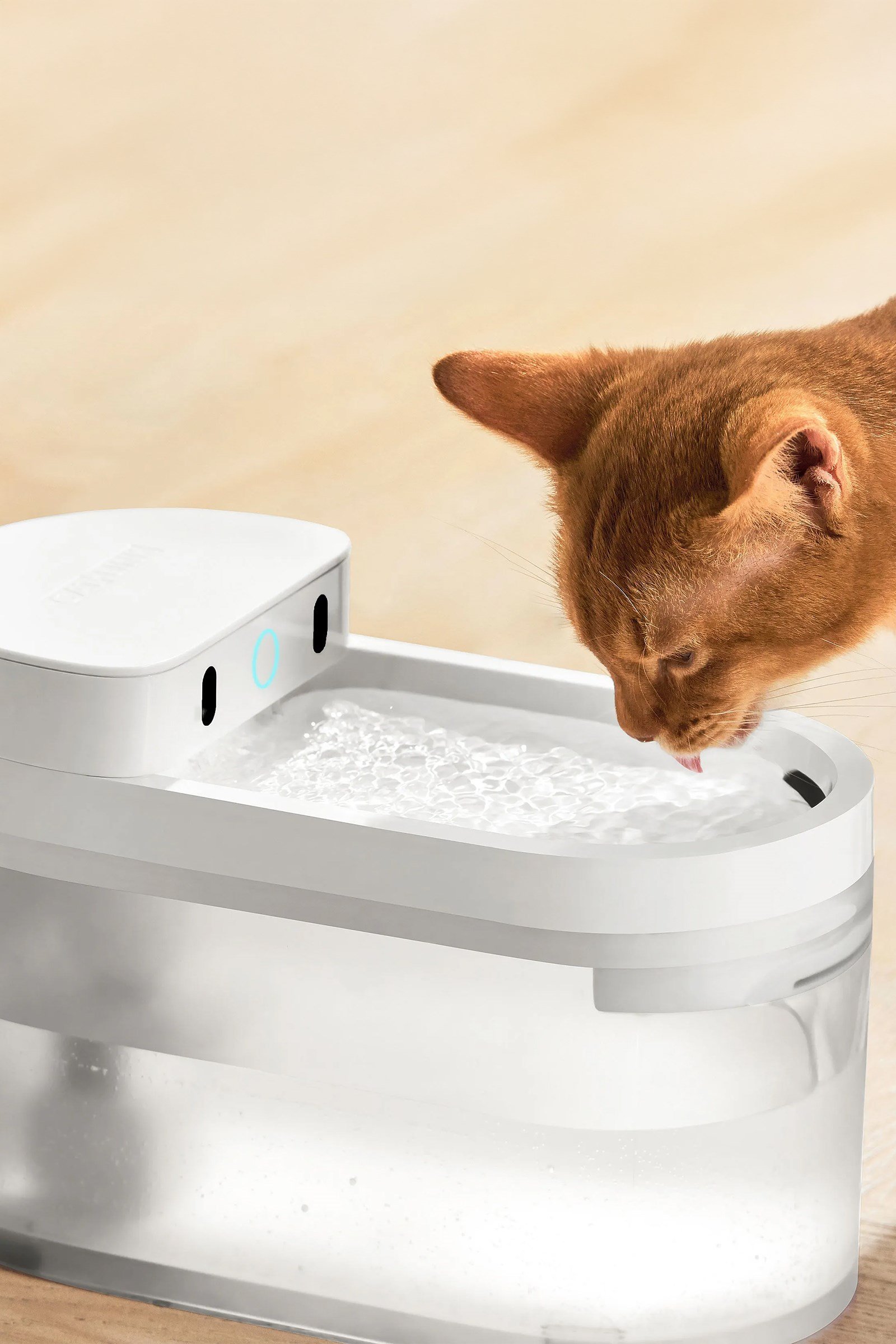 CATLINK Yapay Zekâlı Su Pınarı Kablosuz, 2.3 Lt