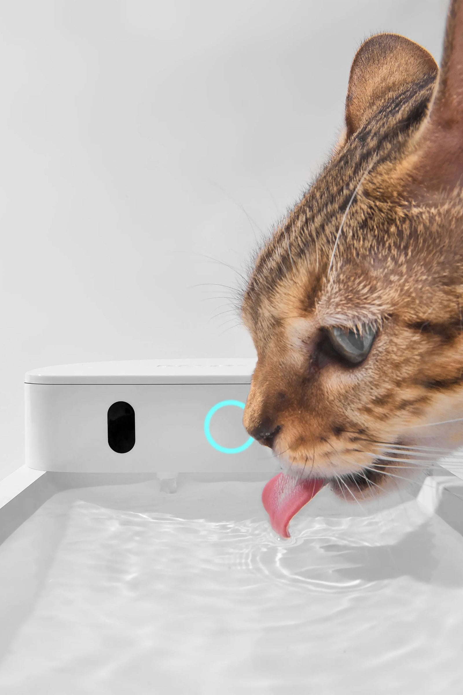 CATLINK Yapay Zekâlı Su Pınarı Kablosuz, 2.3 Lt