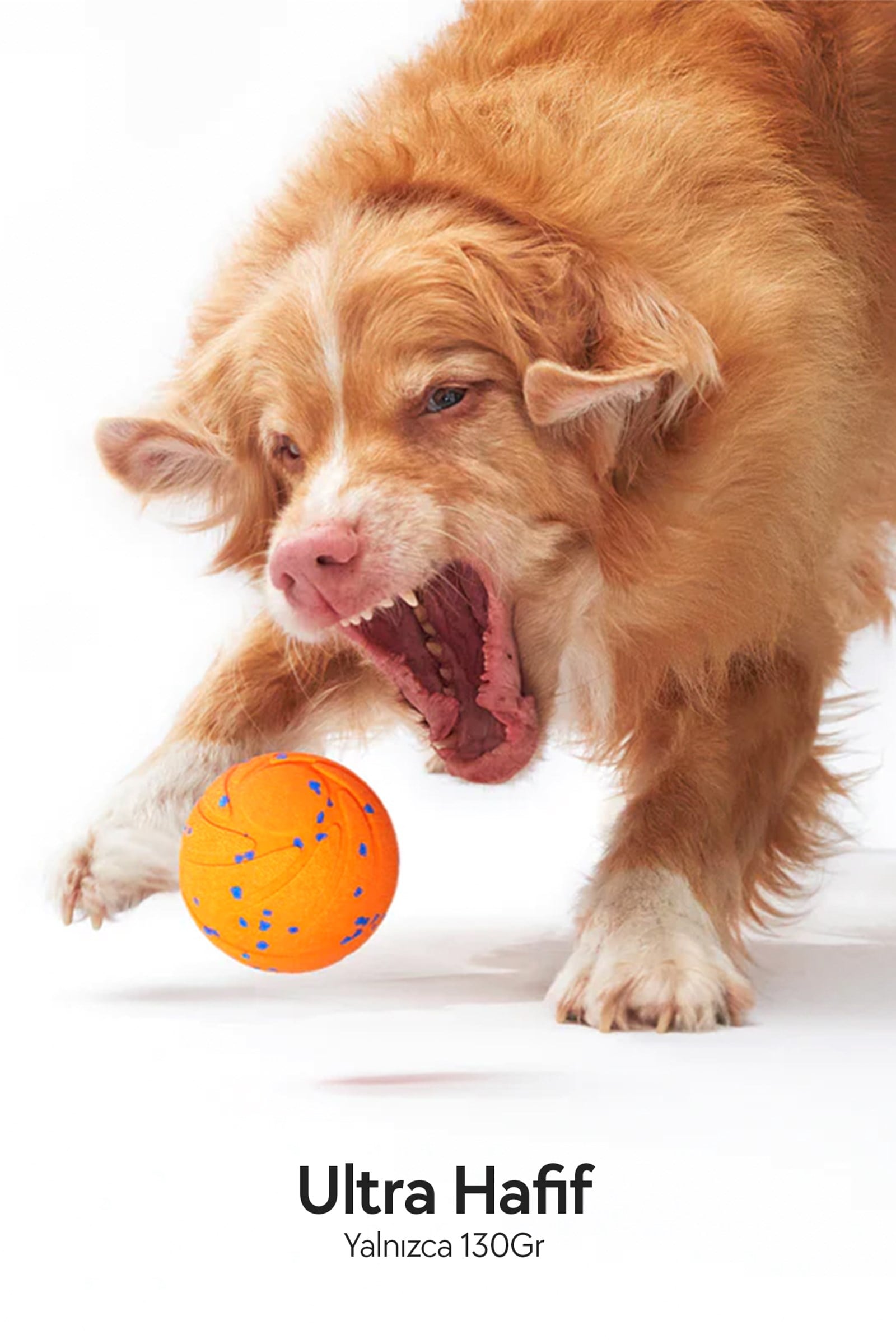 Cheerble Akıllı İnteraktif Köpek Oyuncağı, Turuncu 7 x 7 x 7cm