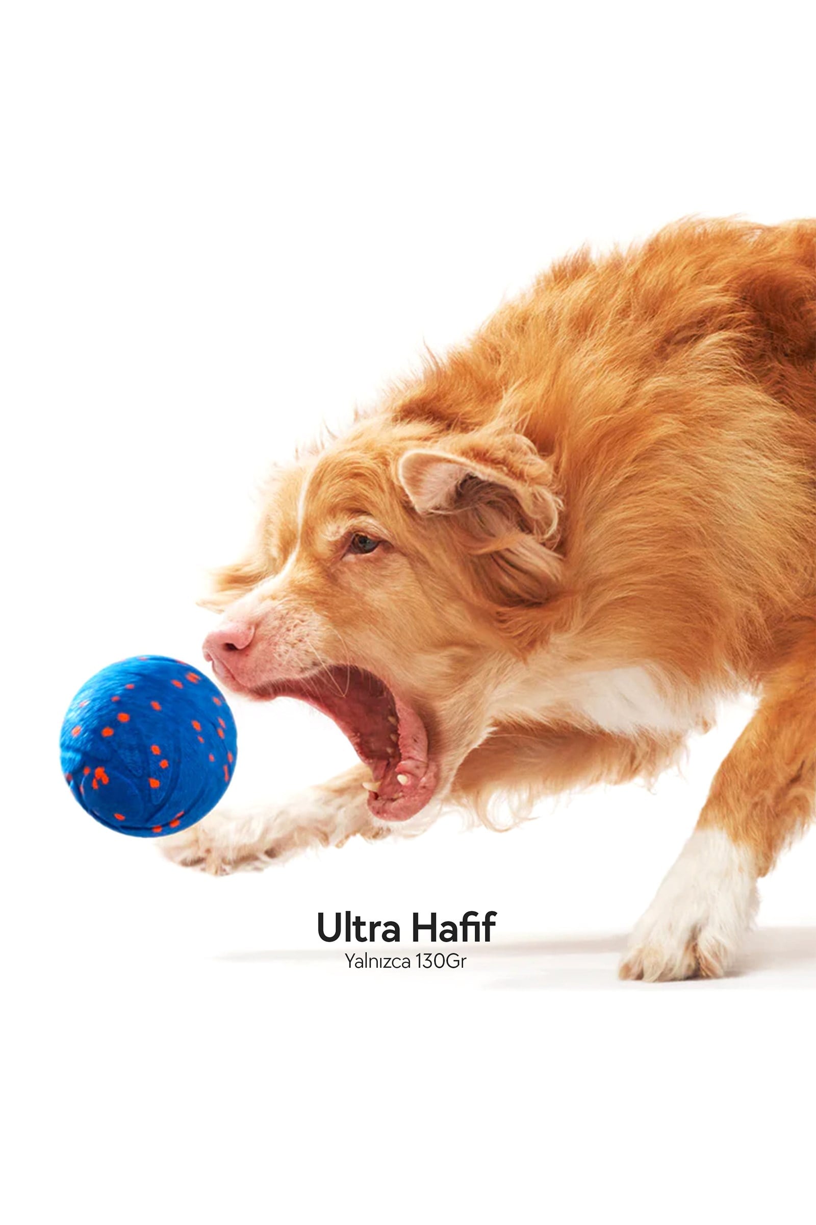 Cheerble Akıllı İnteraktif Köpek Oyuncağı, Mavi 7 x 7 x 7cm