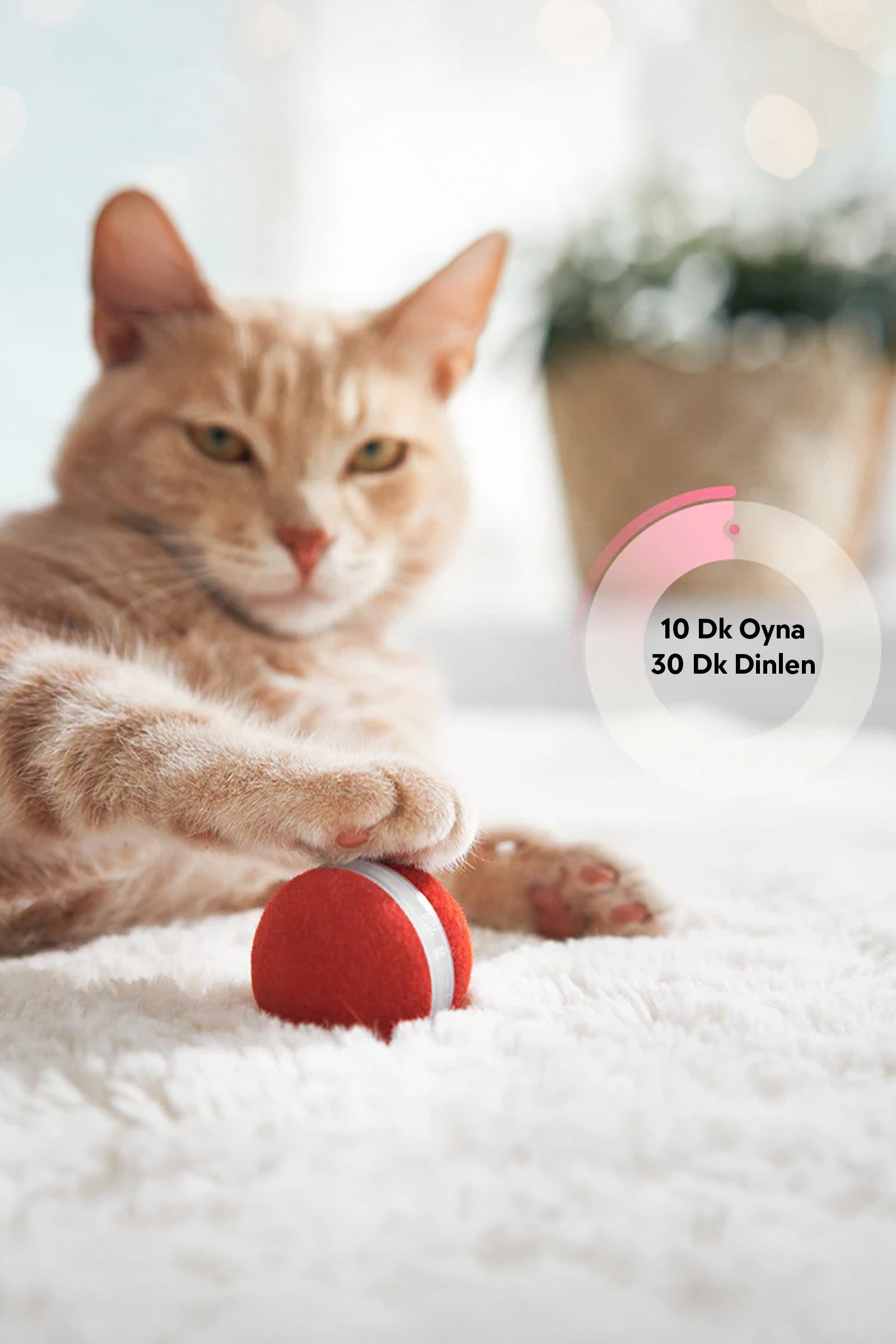 Cheerble Şarjlı Akıllı İneraktif Kedi Oyun Topu, Kırmızı 4 cm