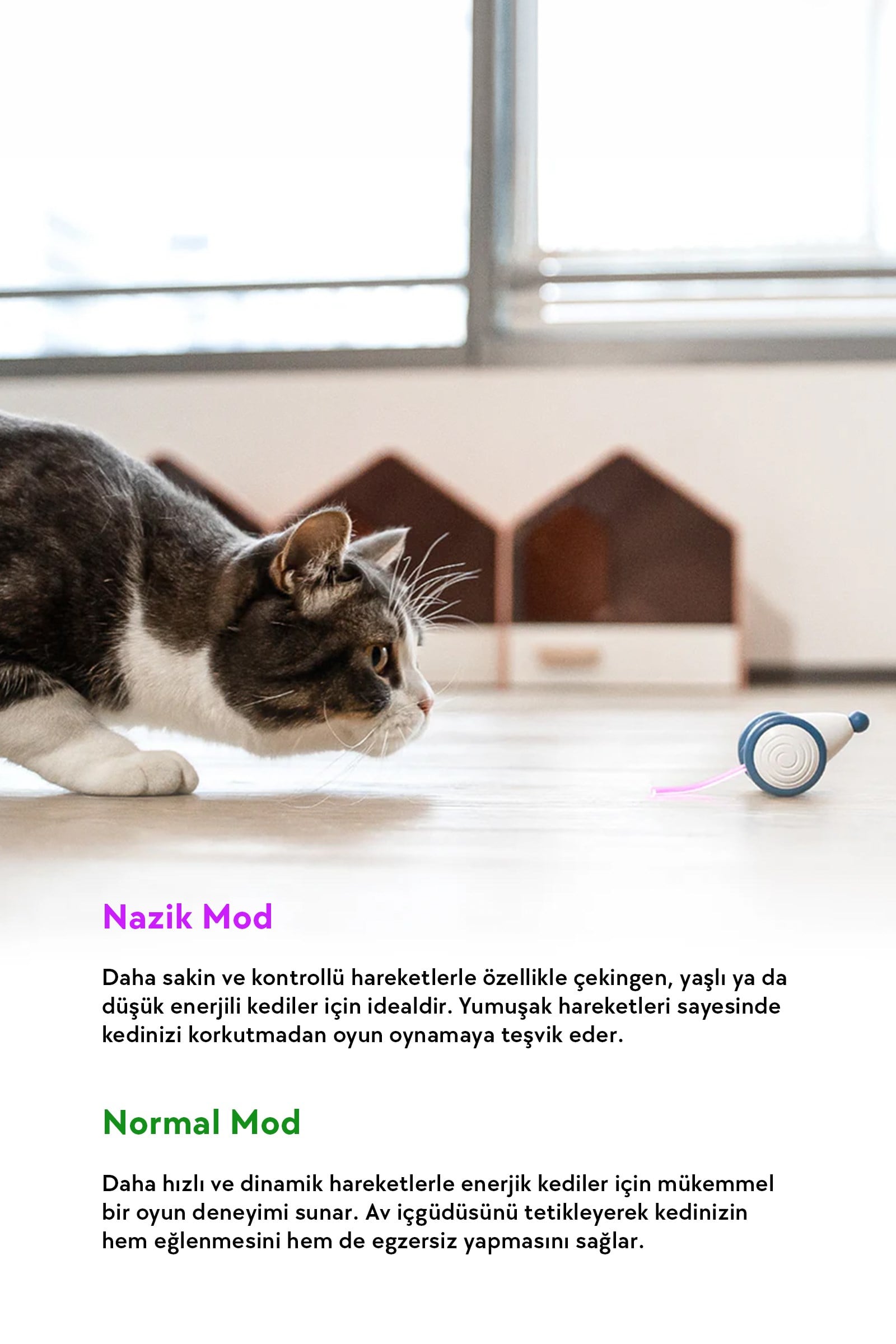 Cheerble Şarjlı Akıllı İneraktif Kedi Fare Oyuncağı, Turuncu 6 x 5 x 3.6 cm