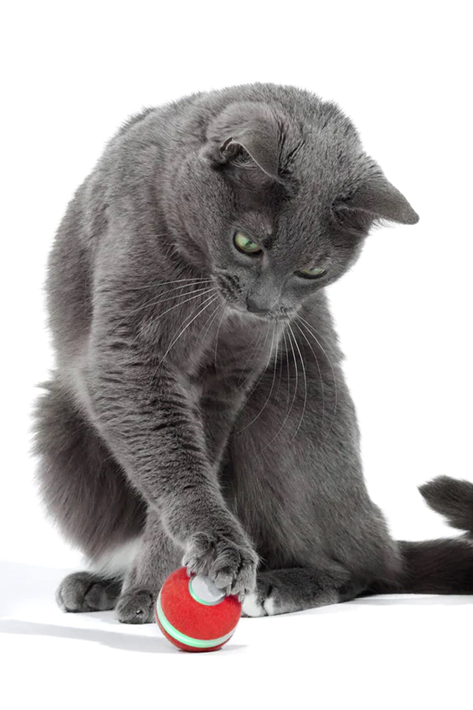 Cheerble Şarjlı Akıllı İneraktif Kedi Oyun Topu, Kırmızı 4 cm