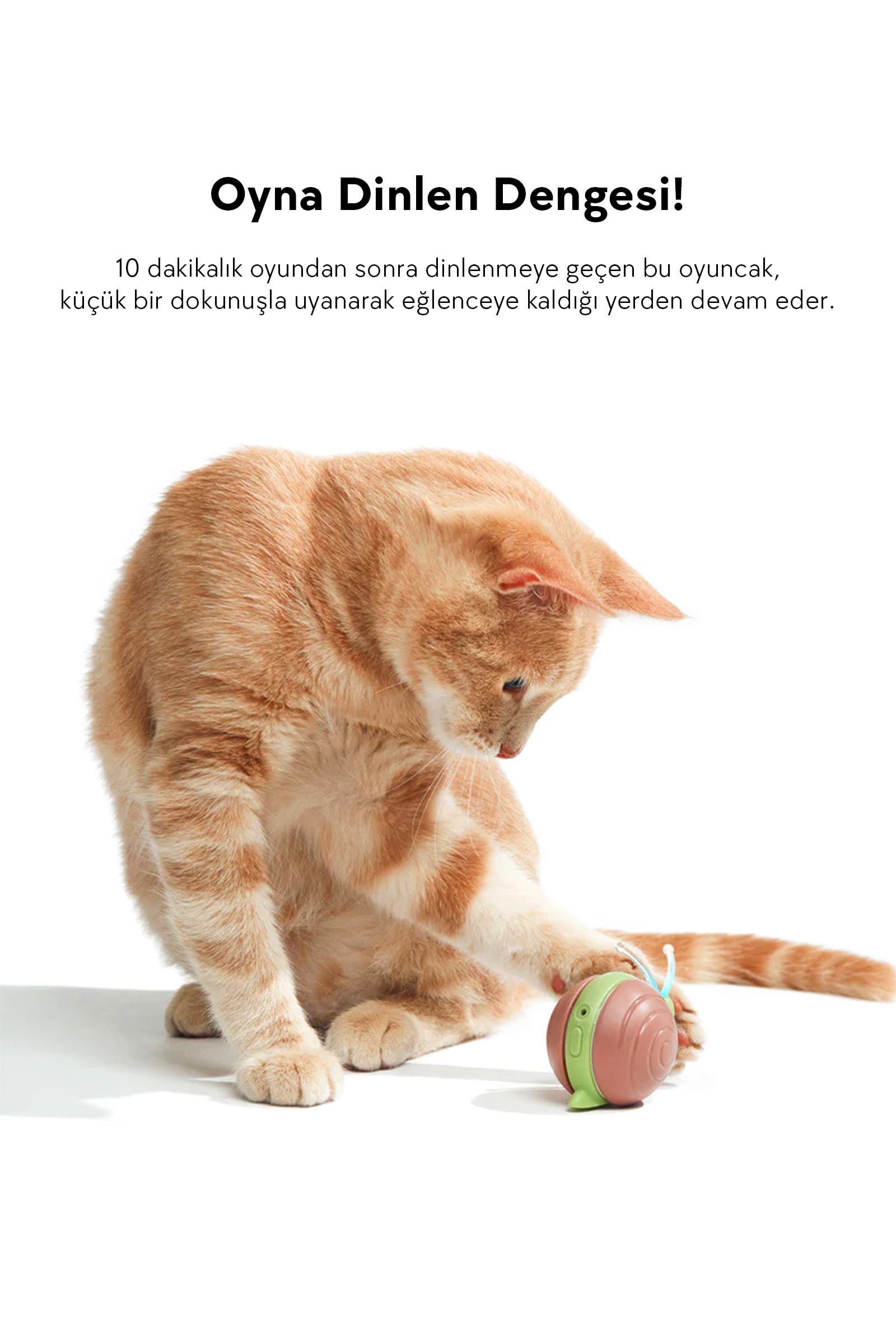 Cheerble Şarjlı Akıllı İneraktif Kedi Salyangoz Oyuncağı, Kahverengi 7 x 5 x 5.8 cm