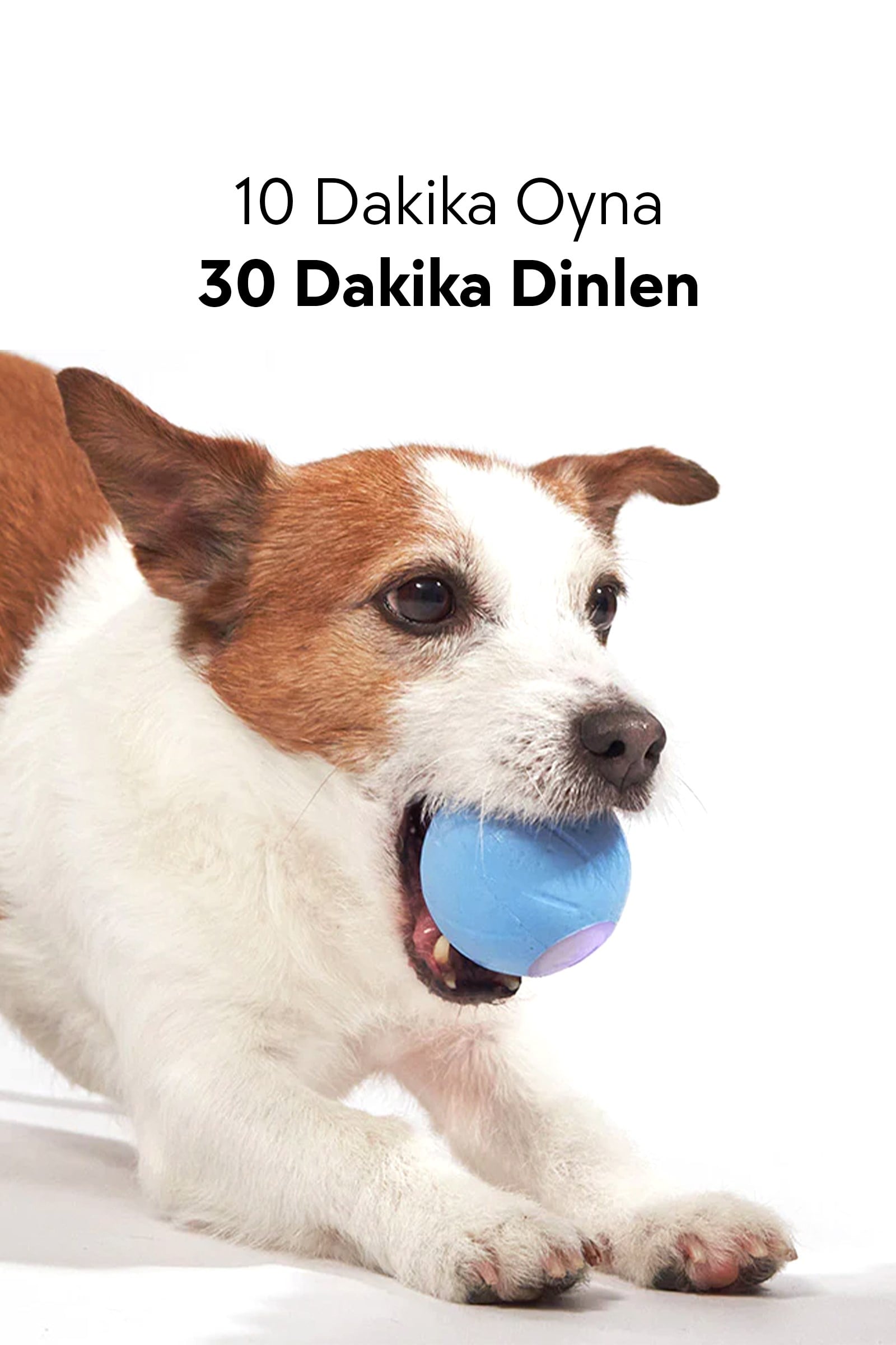 Cheerble Şarjlı Akıllı İneraktif Köpek Oyun Topu Kırmızı Small 5.5 cm