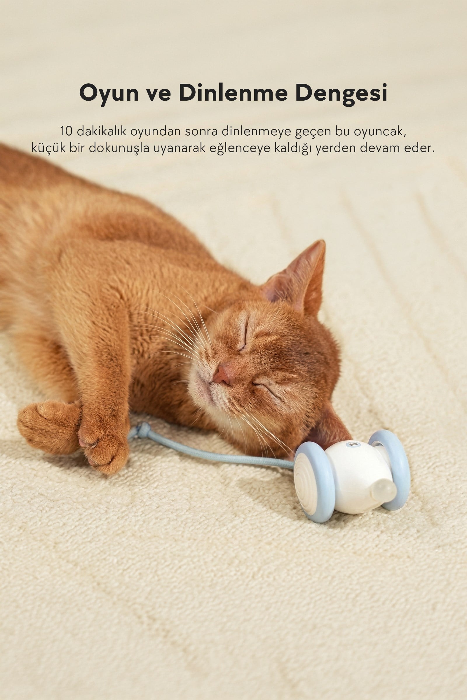 Cheerble Şarjlı Akıllı İneraktif Kuyruklu Kedi Fare Oyuncağı, Yeşil 7 x 5 x 5.8 cm