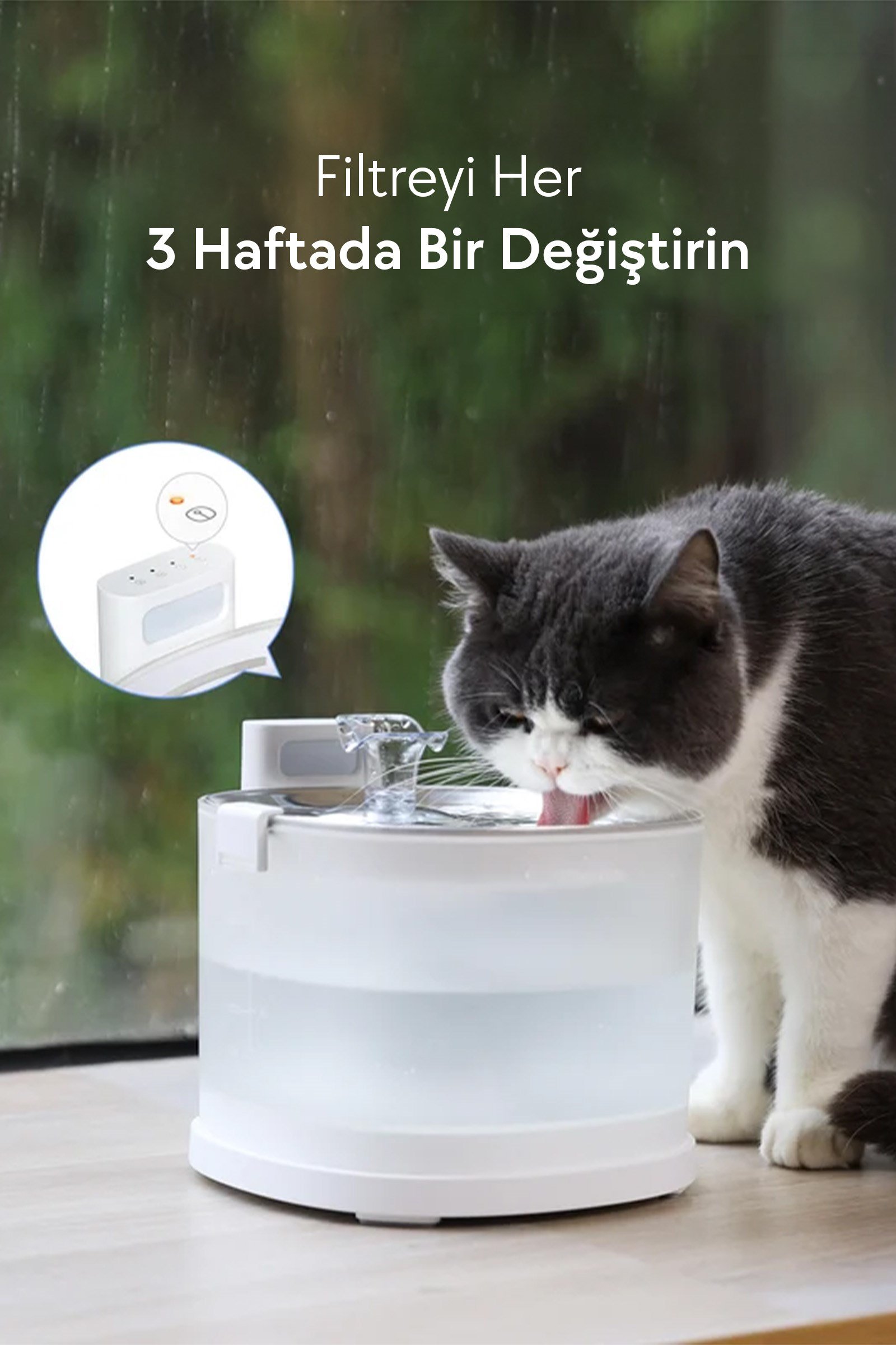 Cheerble Su Pınarı Filtresi, 4lü Paket, CDY01-CDY02 Uyumlu