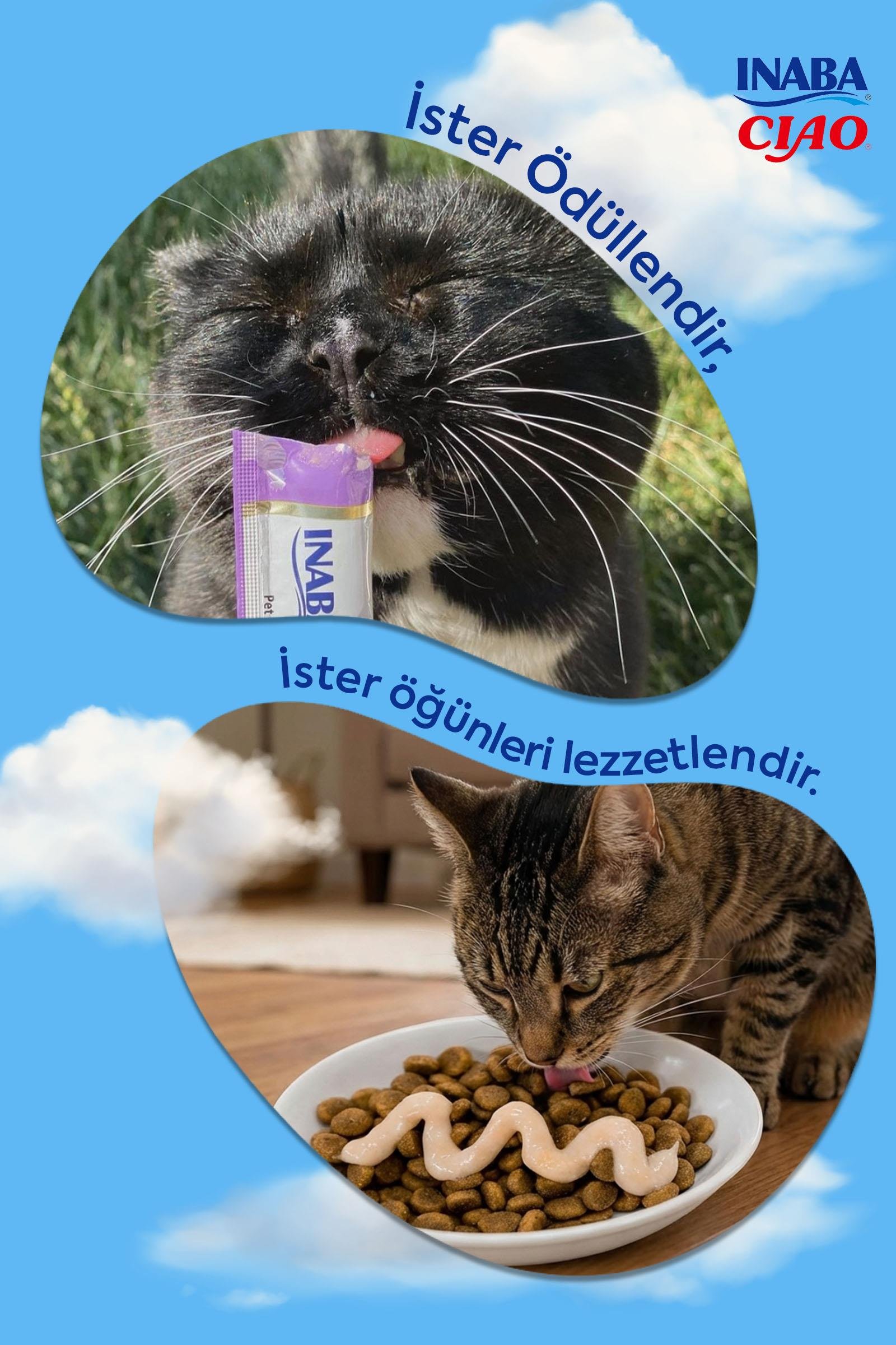 Ciao Churu Bisque Tavuklu Kedi Ödül Kreması 40 Gr