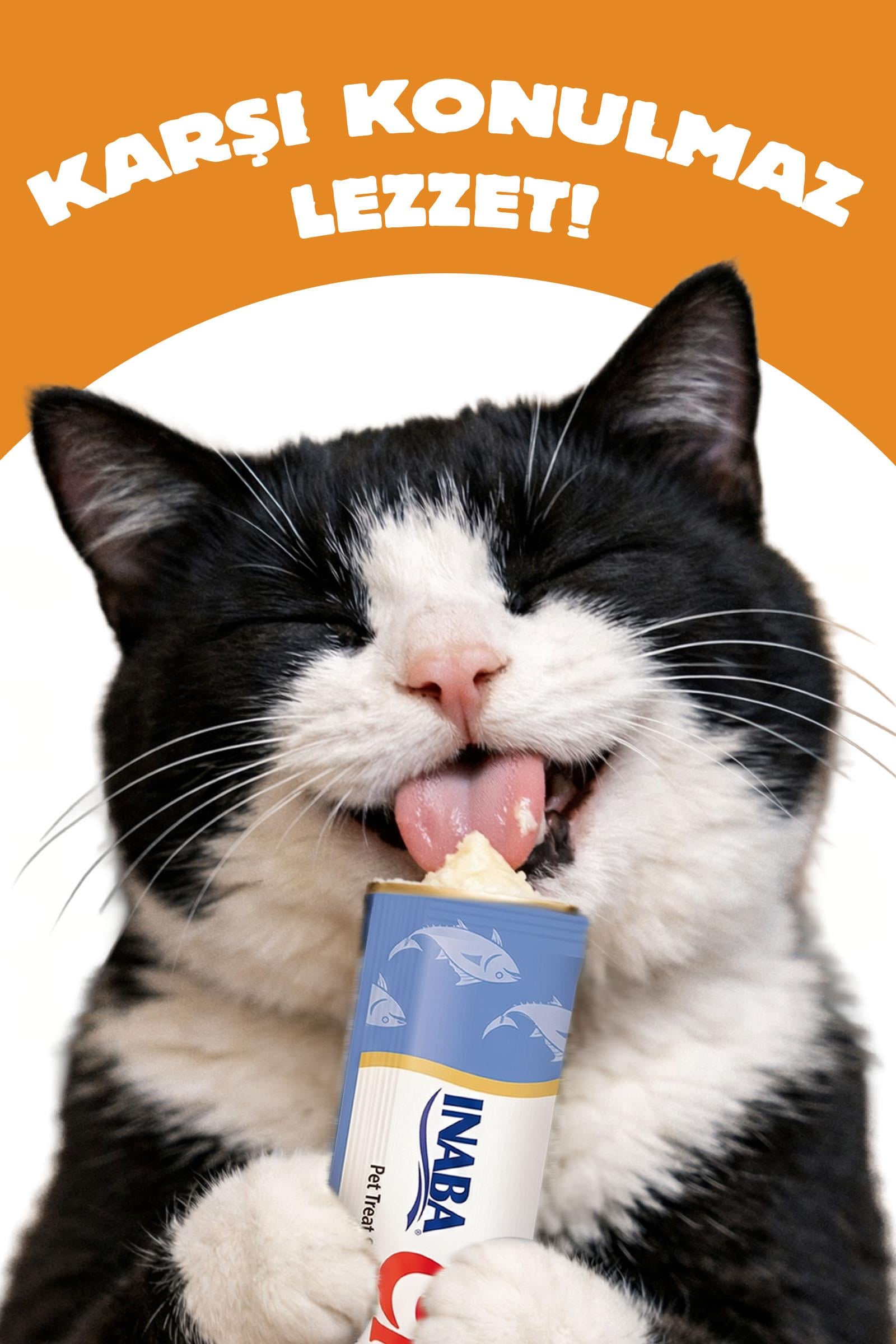 Ciao Churu Bisque Tavuklu Kedi Ödül Kreması 40 Gr