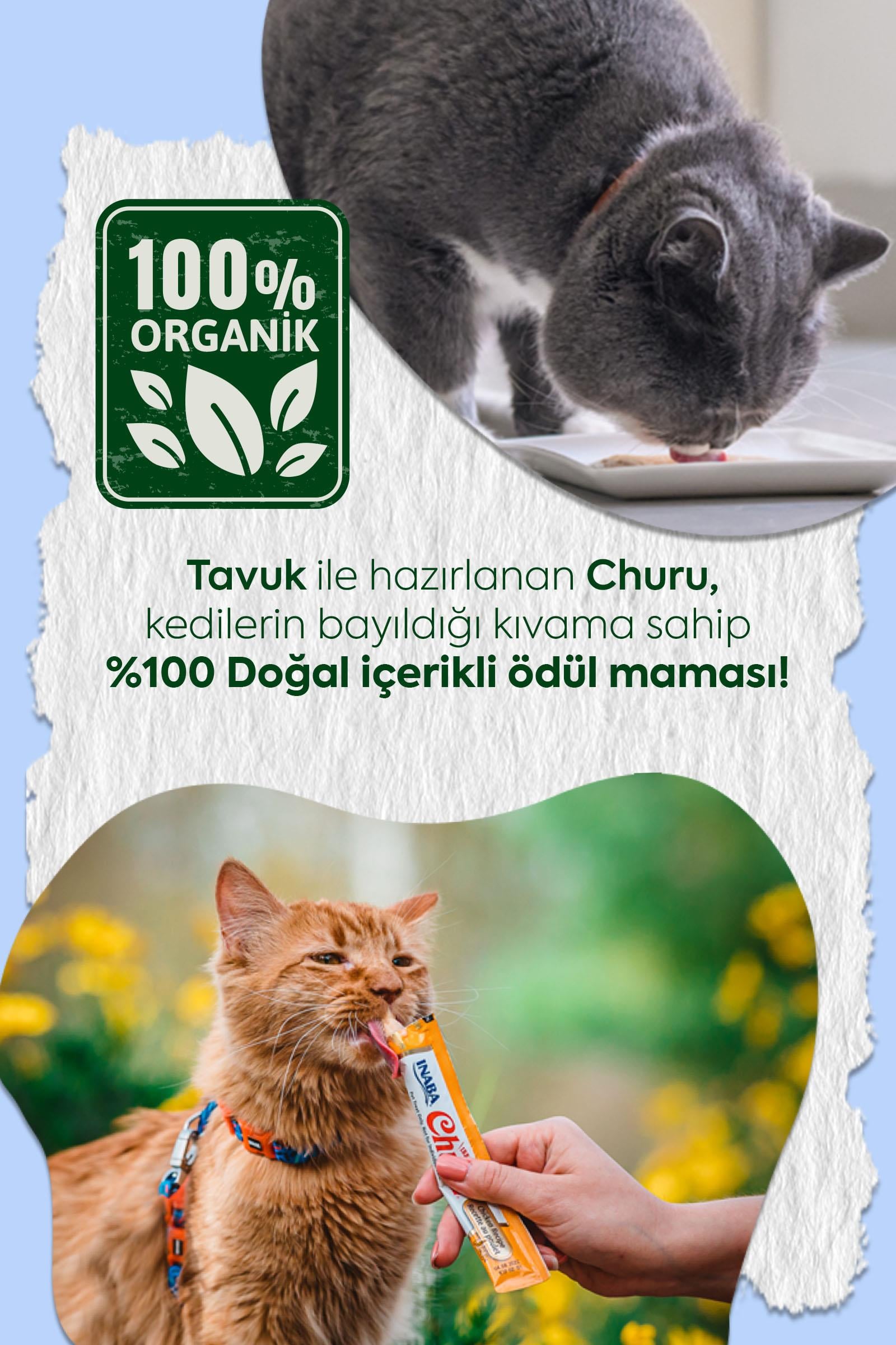 Ciao Churu Bisque Tavuklu Kedi Ödül Kreması 40 Gr