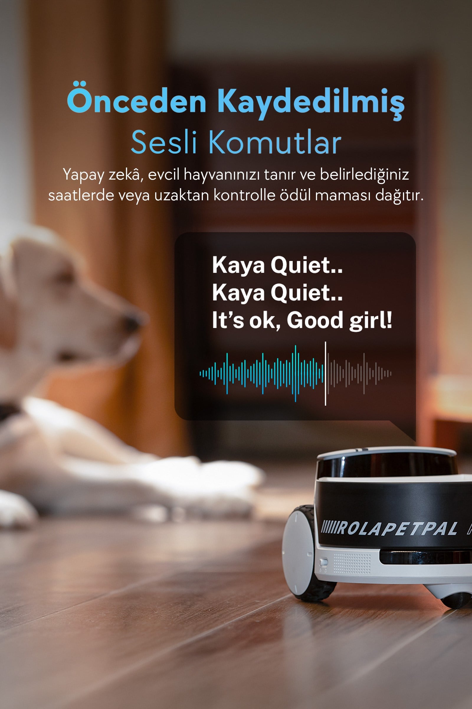 Enabot ROLA PetPal 2.5K Kameralı Evcil Hayvan Robotu, Oyuncak Eklentili