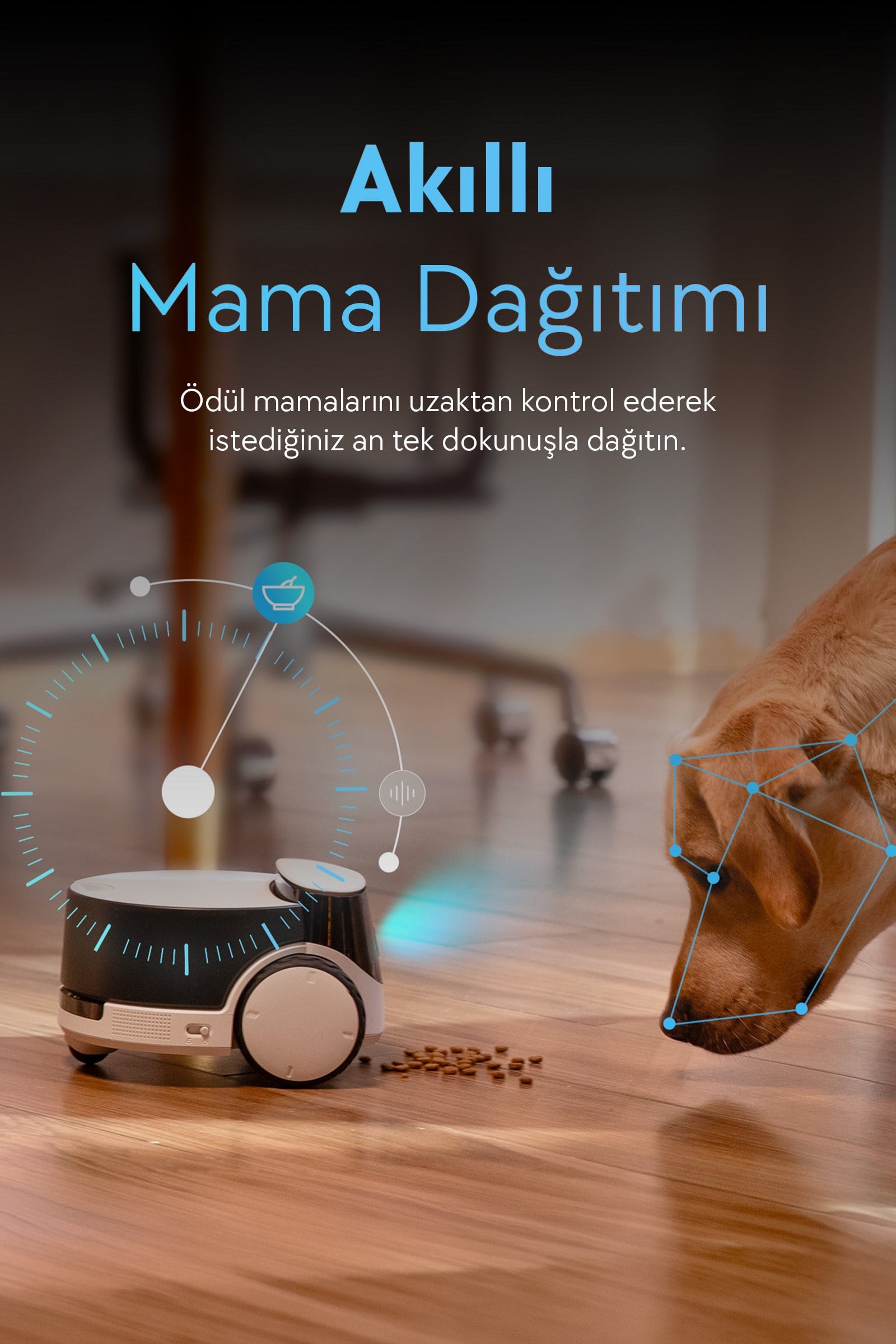 Enabot ROLA PetPal 2.5K Kameralı Evcil Hayvan Robotu, Oyuncak Eklentili