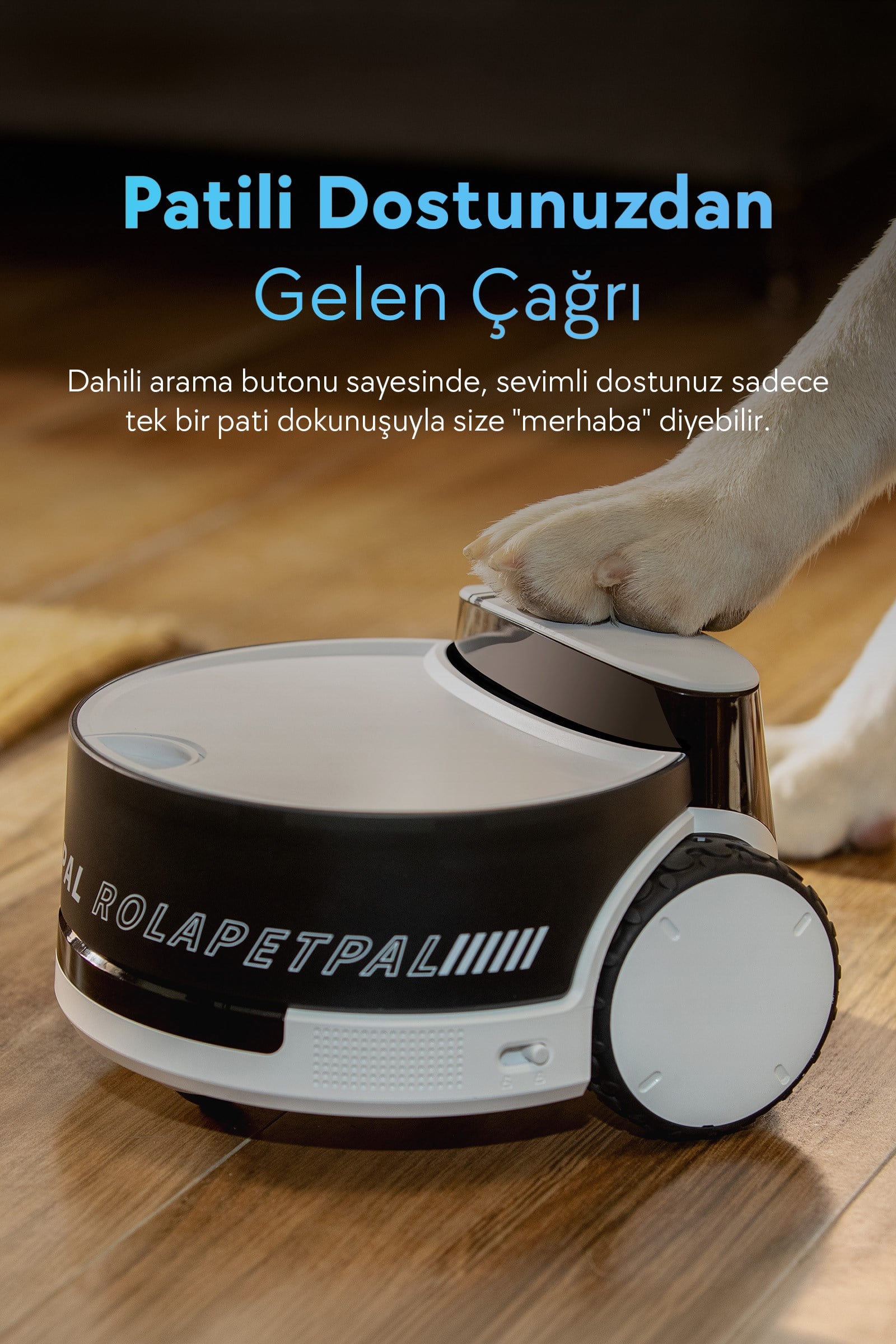 Enabot ROLA PetPal 2.5K Kameralı Evcil Hayvan Robotu, Oyuncak Eklentili