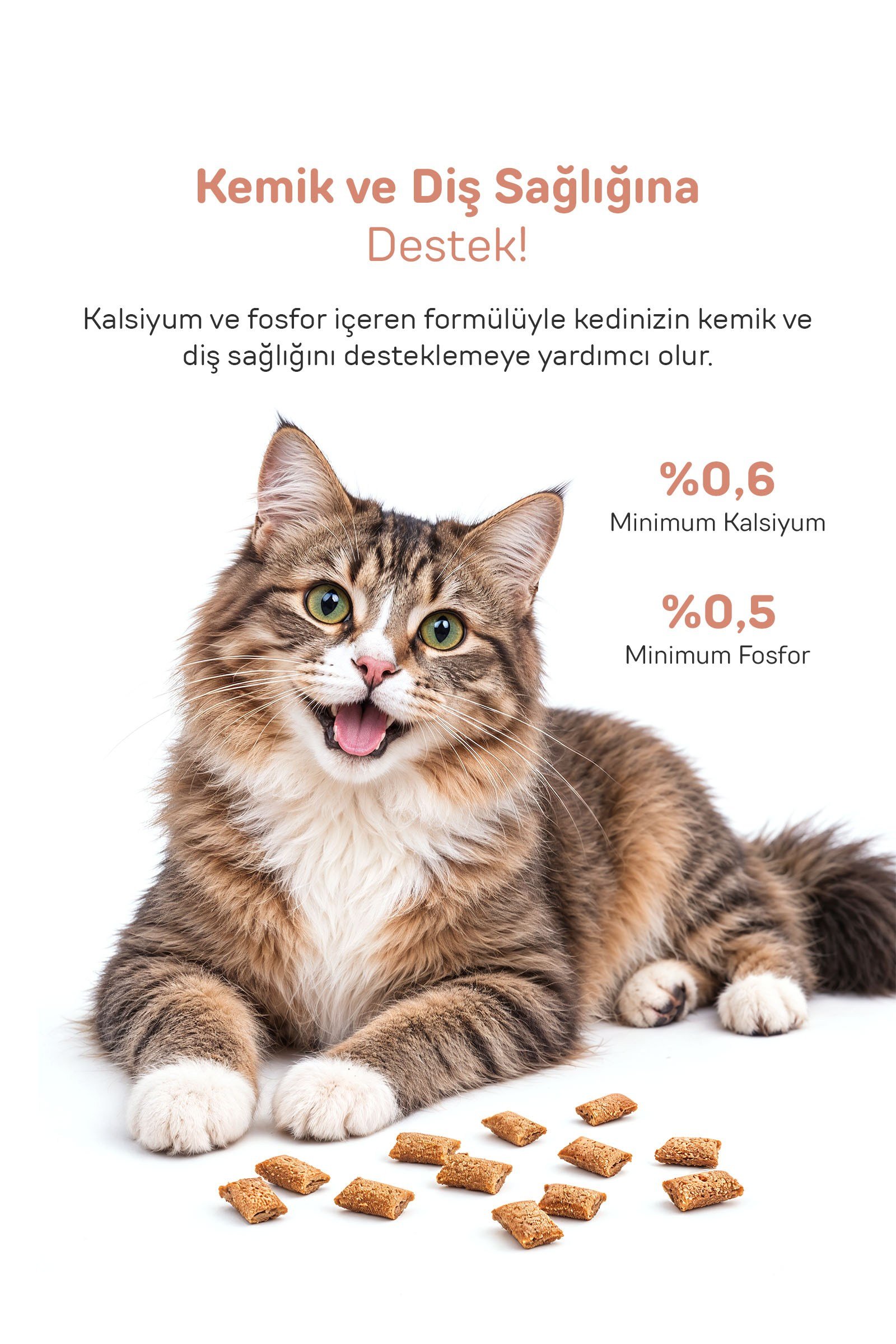 Howbone Cookie Cat Kedi Ödül Bisküvisi 28 g