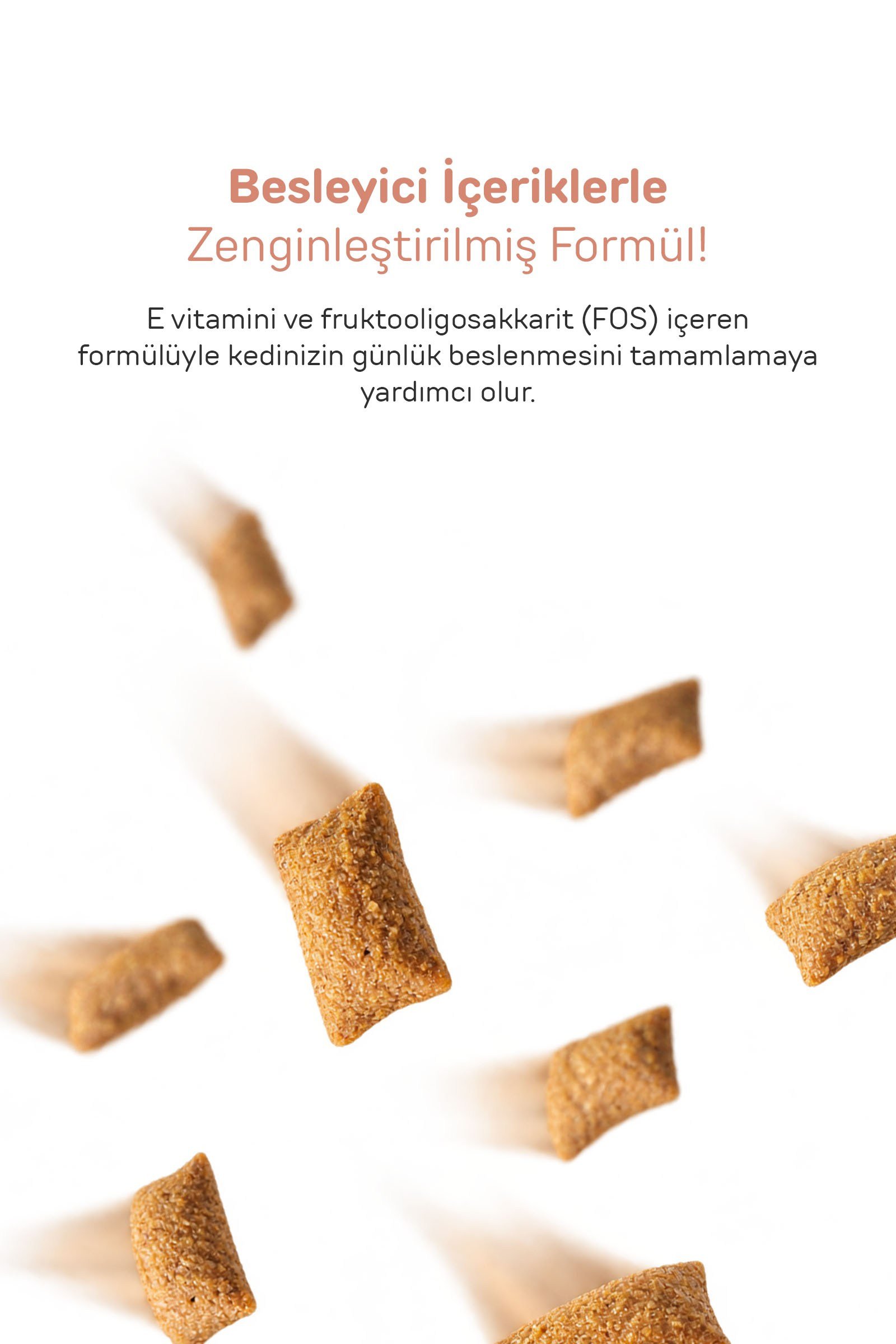 Howbone Cookie Cat Kedi Ödül Bisküvisi 28 g