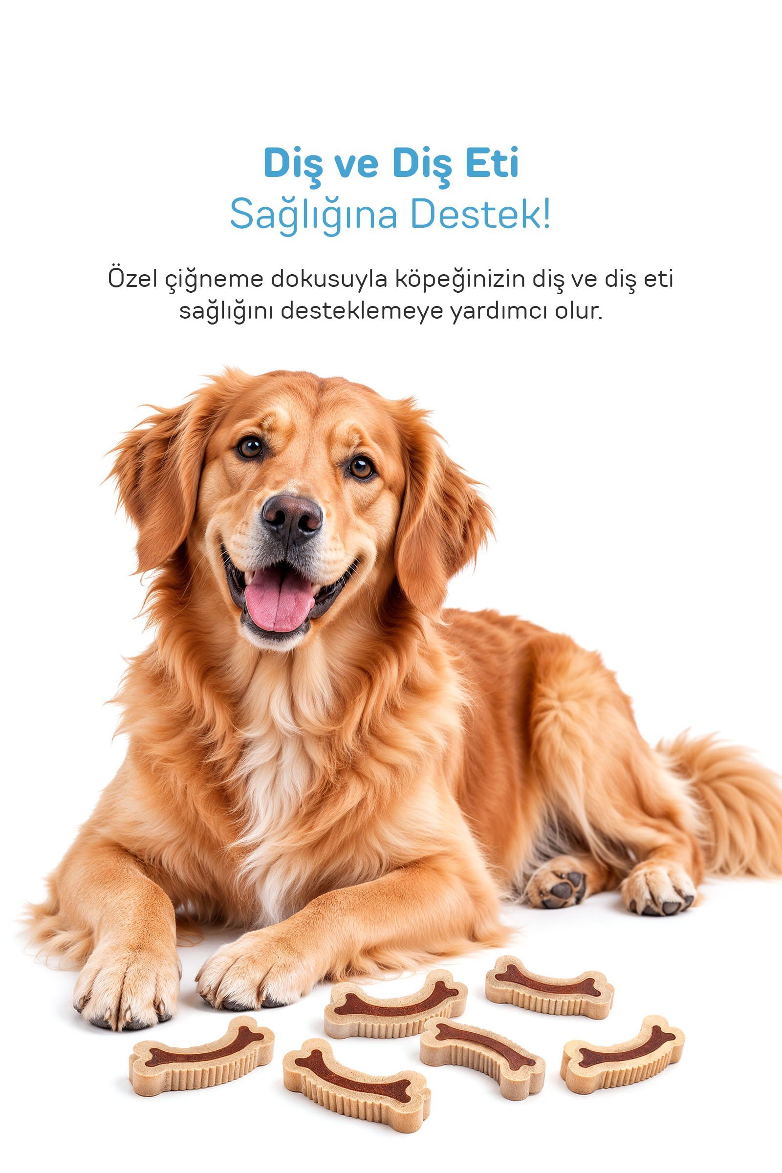 Howbone Just Pure Et ve Süt Aromalı Kemik Köpek Ödül Maması 75 g