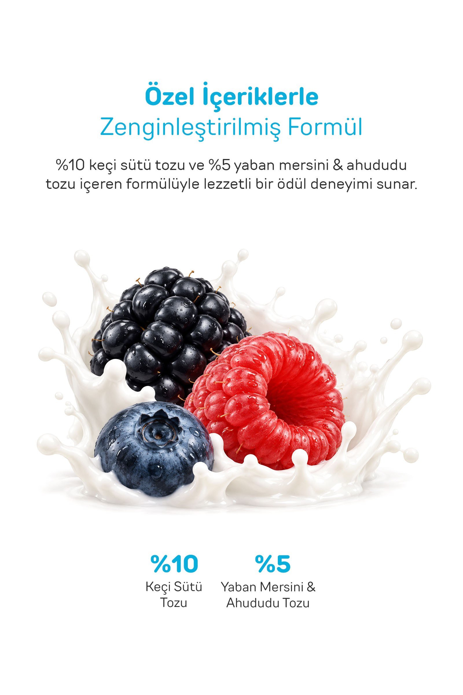 Howbone Keçi Sütü ve Orman Meyveli Burgu Çubuk Köpek Ödül Maması 80 g
