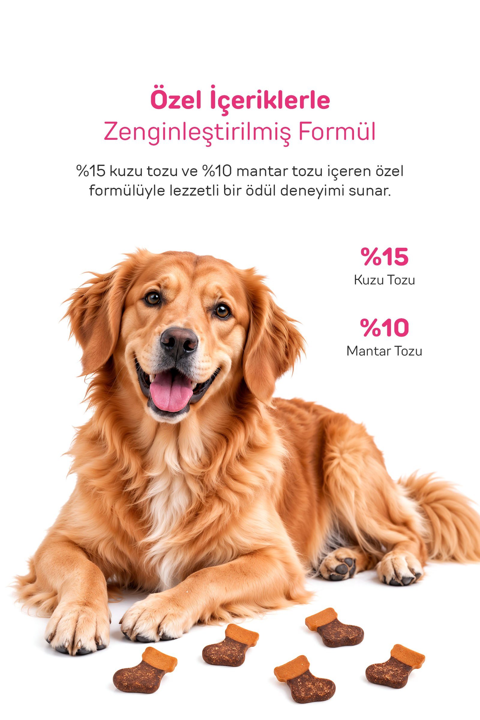 Howbone Mantarlı ve Kuzu Etli Eğitim Ödül Maması 200 g