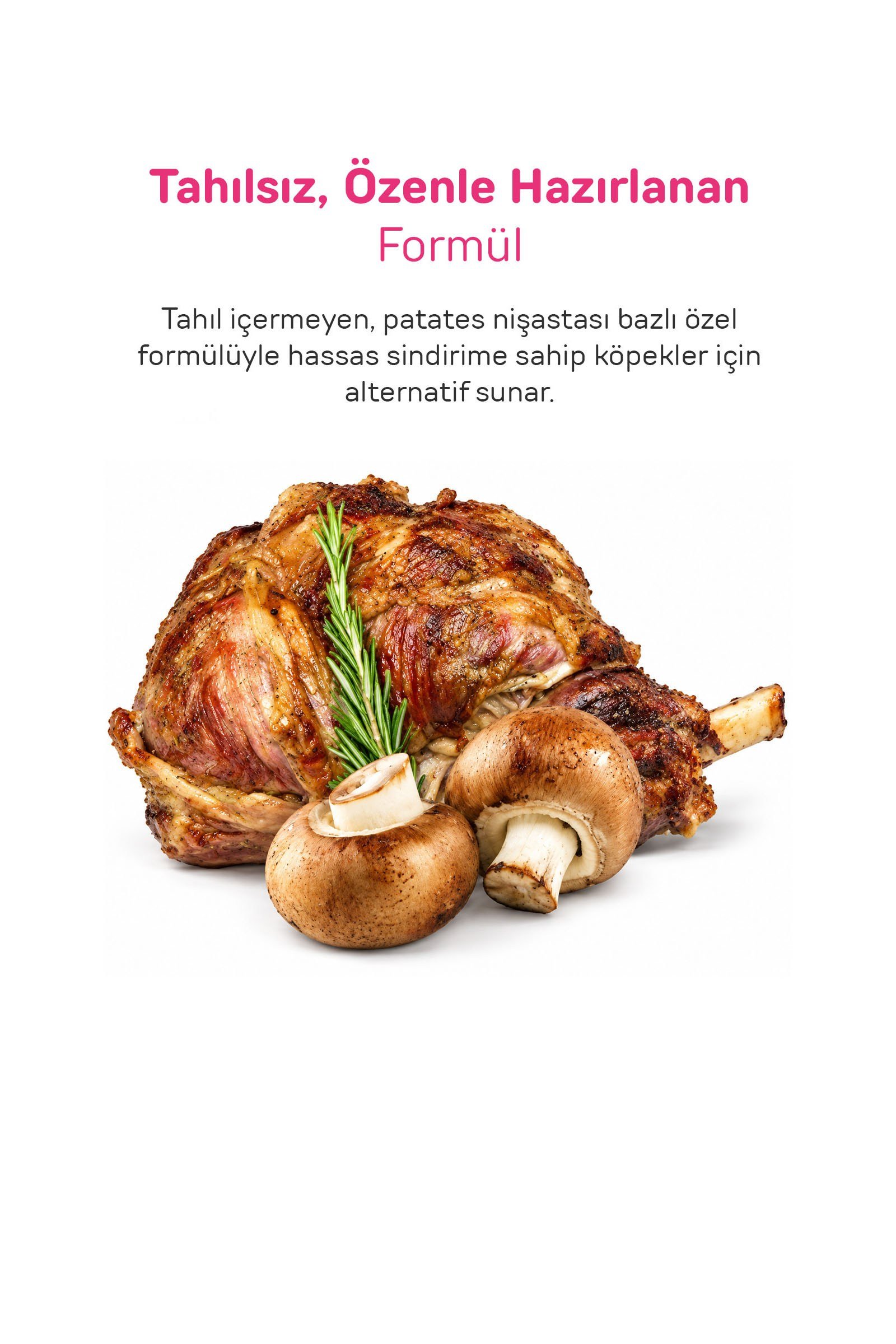 Howbone Mantarlı ve Kuzu Etli Eğitim Ödül Maması 200 g