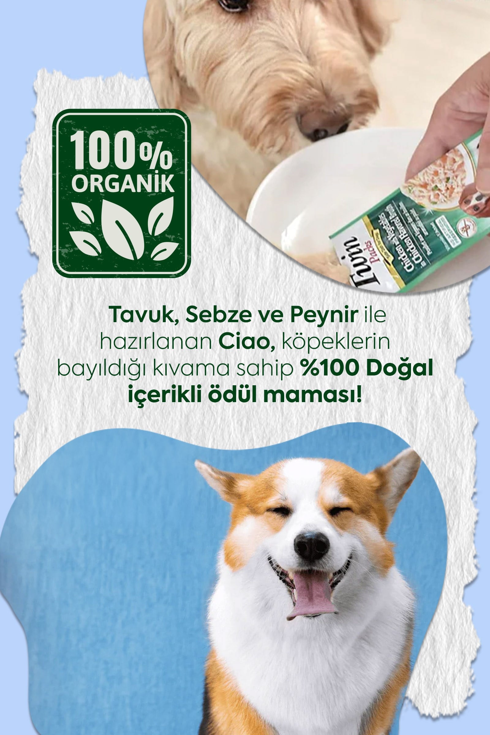 Inaba Twin Packs - Köpekler İçin Tavuklu, Sebzeli ve Peynirli Ödül Maması