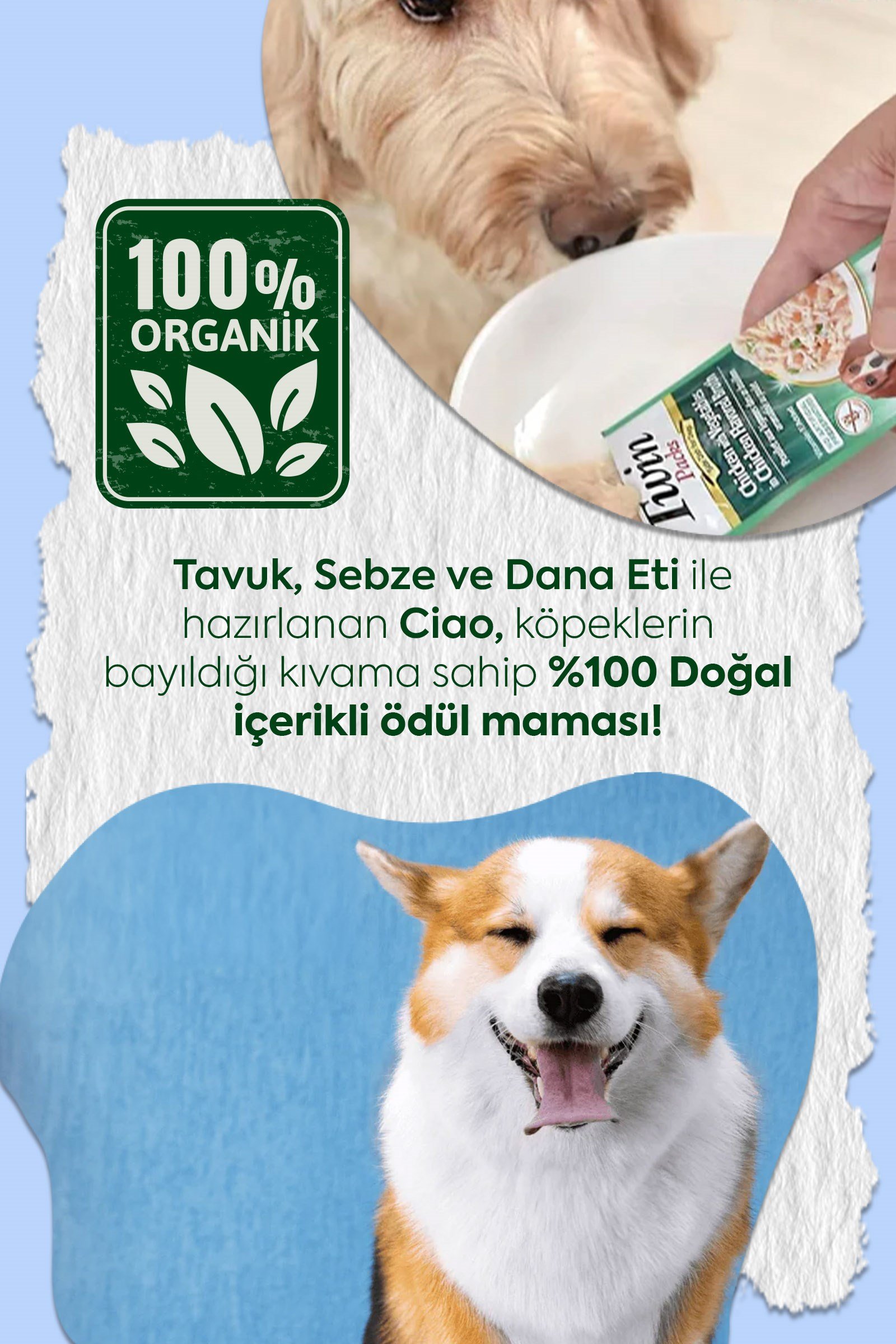 Inaba Twin Packs - Köpekler İçin Tavuklu, Sebzeli ve Biftekli Ödül Maması