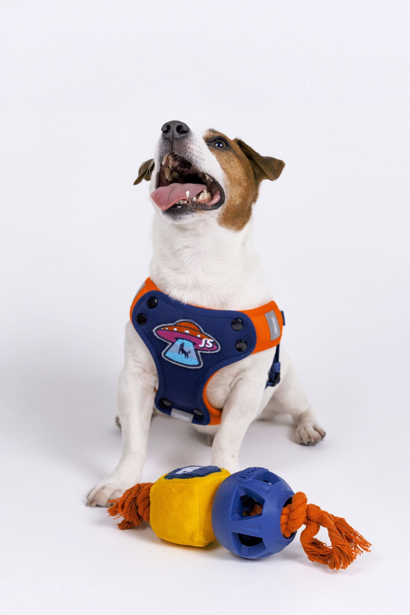 JOYSER 2 Katmanlı Kauçuk Robot Köpek Oyuncağı