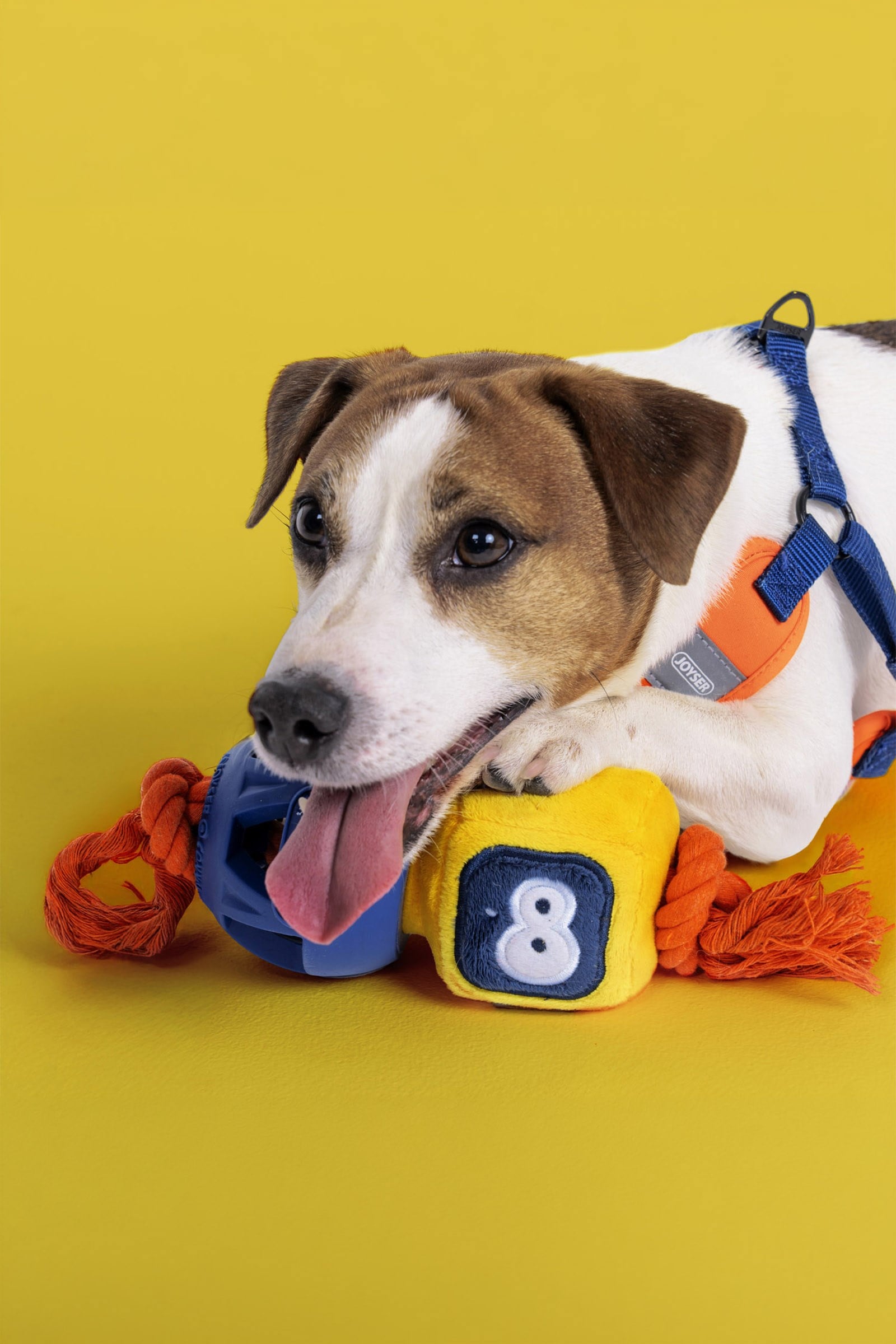 JOYSER 2 Katmanlı Kauçuk Robot Köpek Oyuncağı
