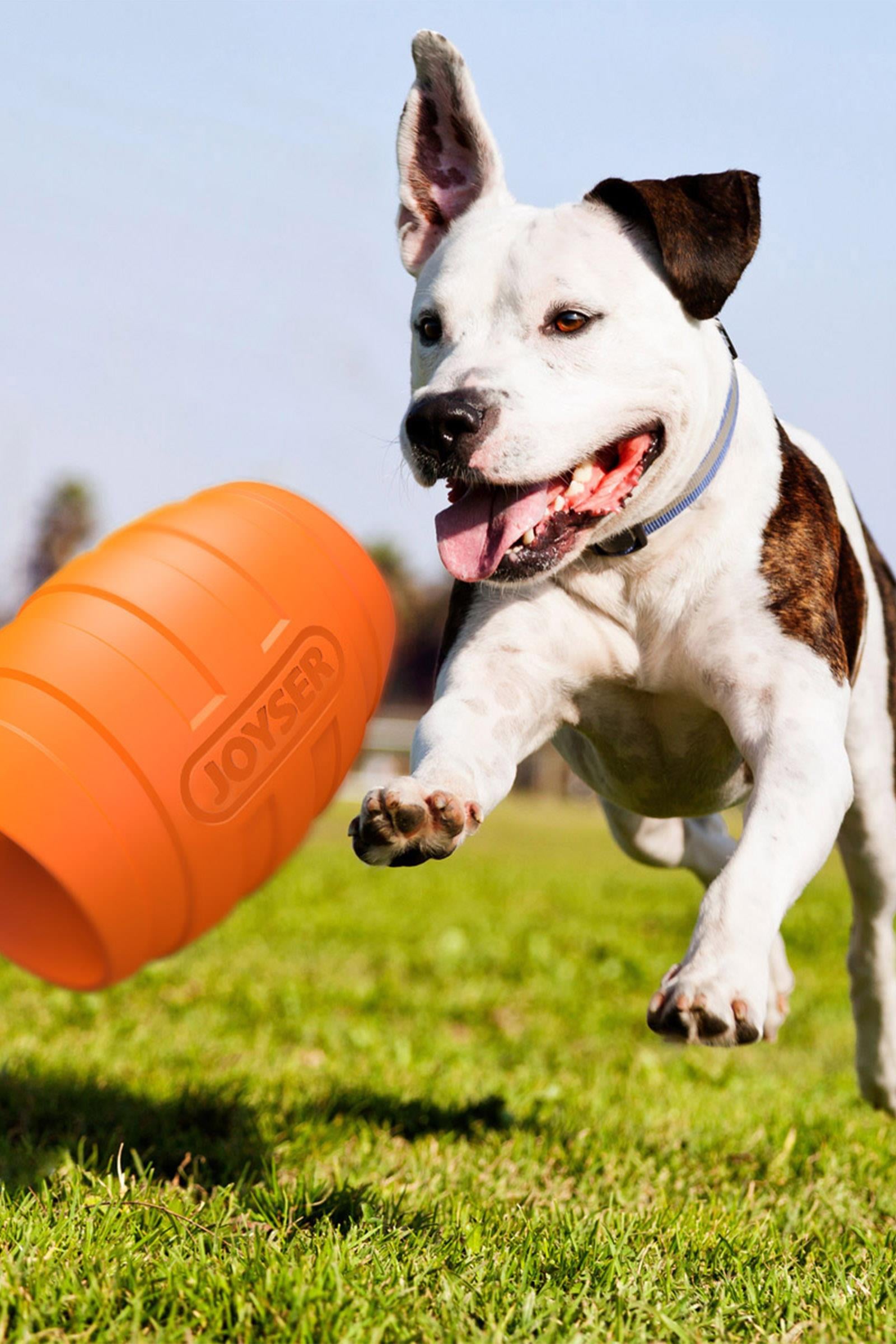 JOYSER Active Holeball Dayanıklı Çift Yönlü Köpek Oyuncağı Turuncu