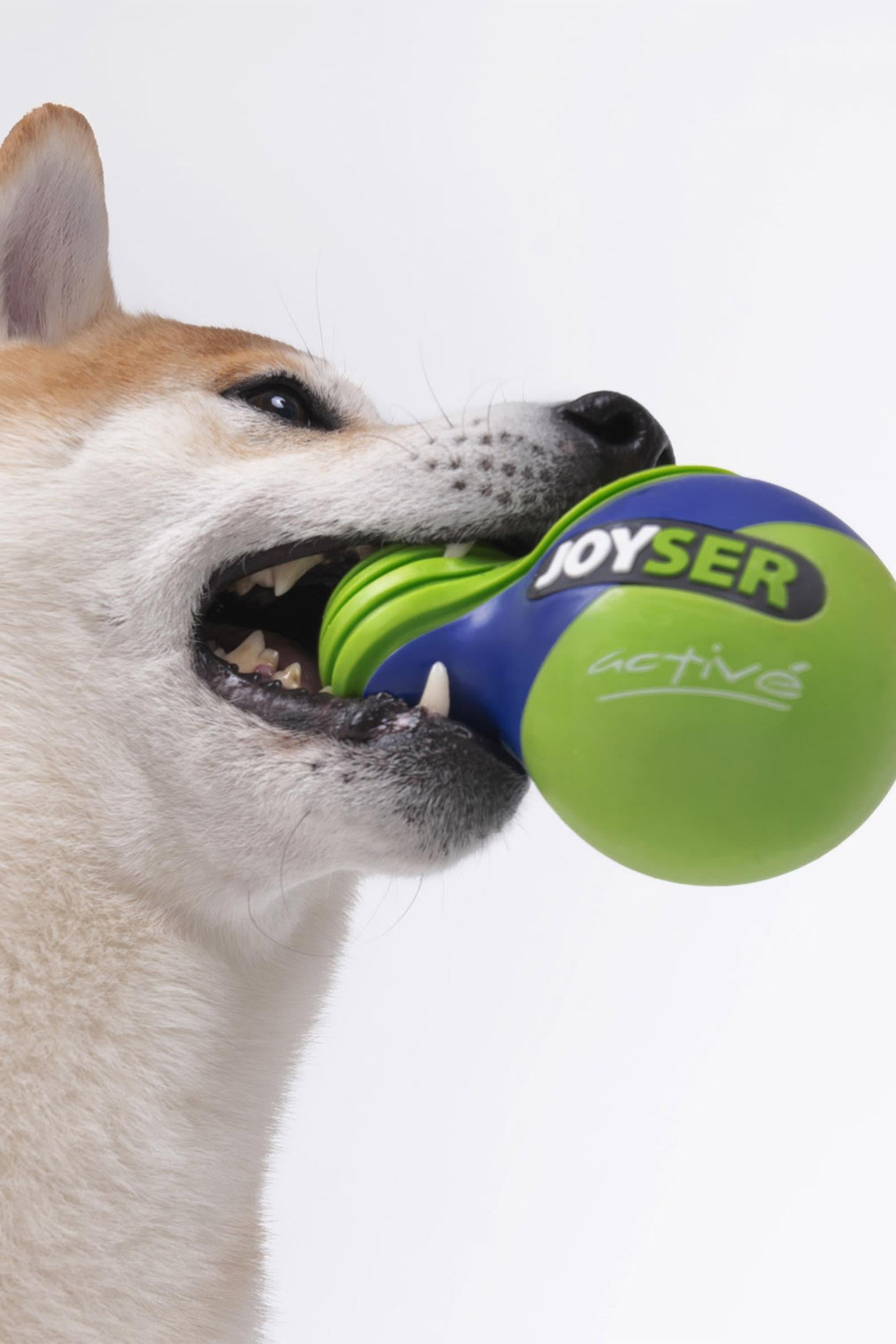 JOYSER Active Kauçuk Köpek Oyuncak Top 12x8 cm