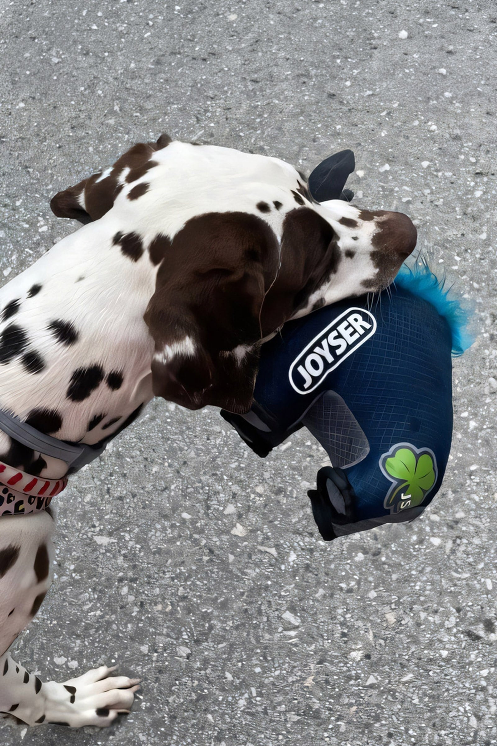 JOYSER Boğa Dayanıklı ve Hafif 2 Katmanlı Köpek Oyuncağı 27x20