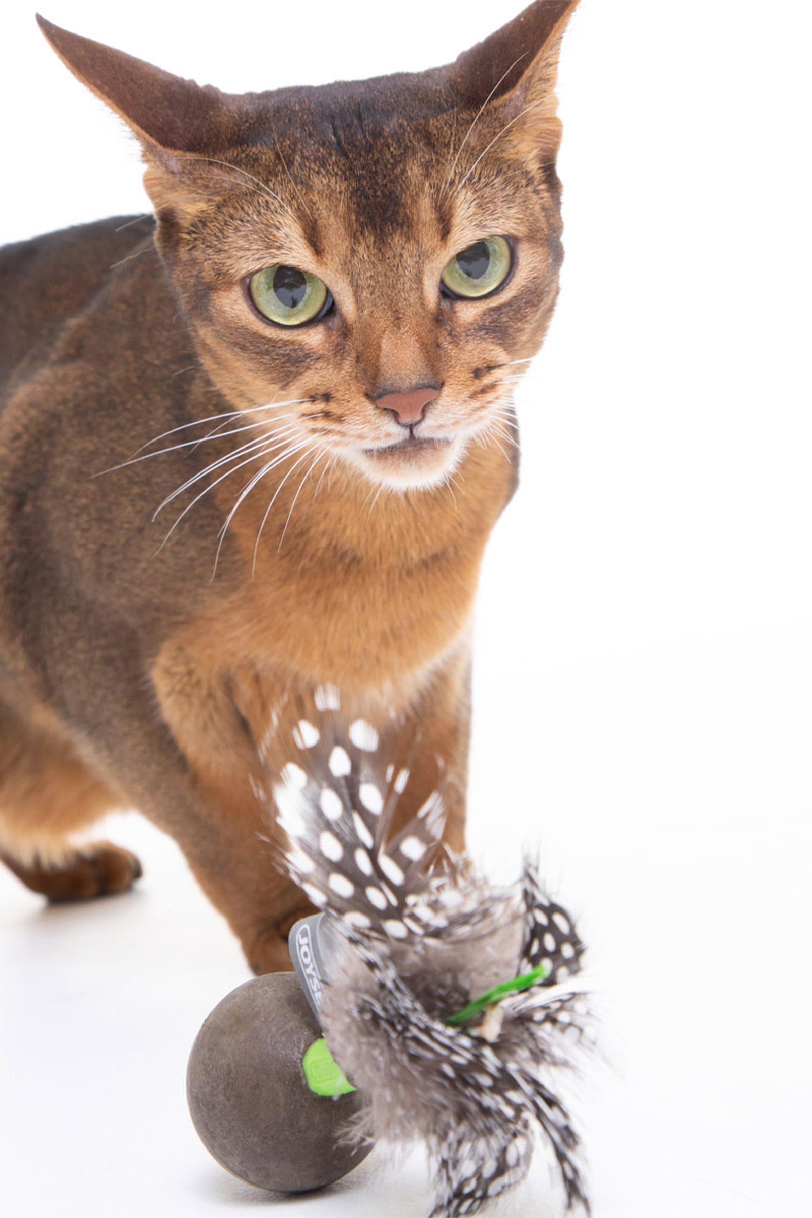 JOYSER Catnip Ball Kedi Otlu Gerçek Tüylü Top Kedi Oyuncağı 13 cm