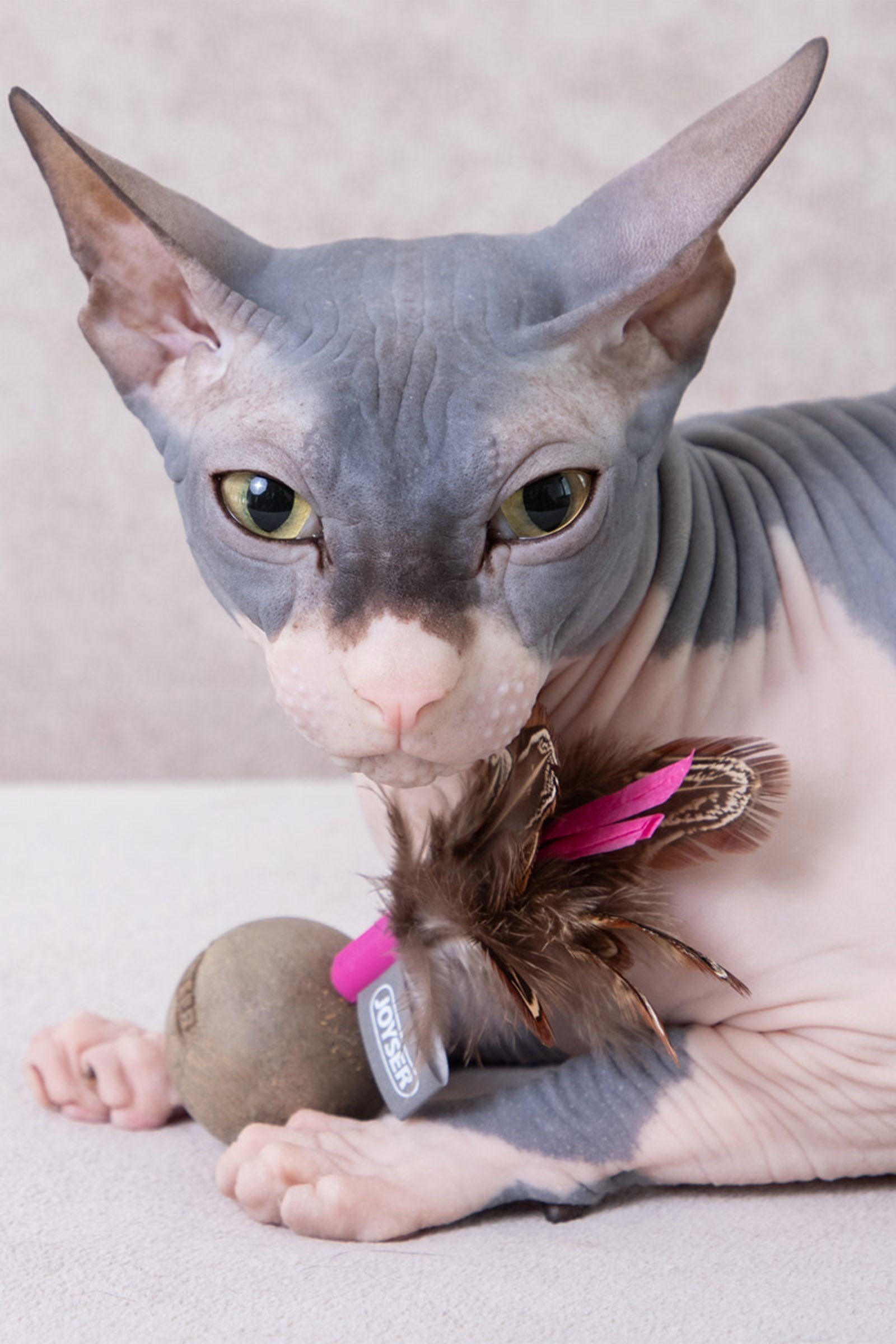 JOYSER Catnip Ball Kedi Otlu Gerçek Tüylü Top Kedi Oyuncağı2 13 cm