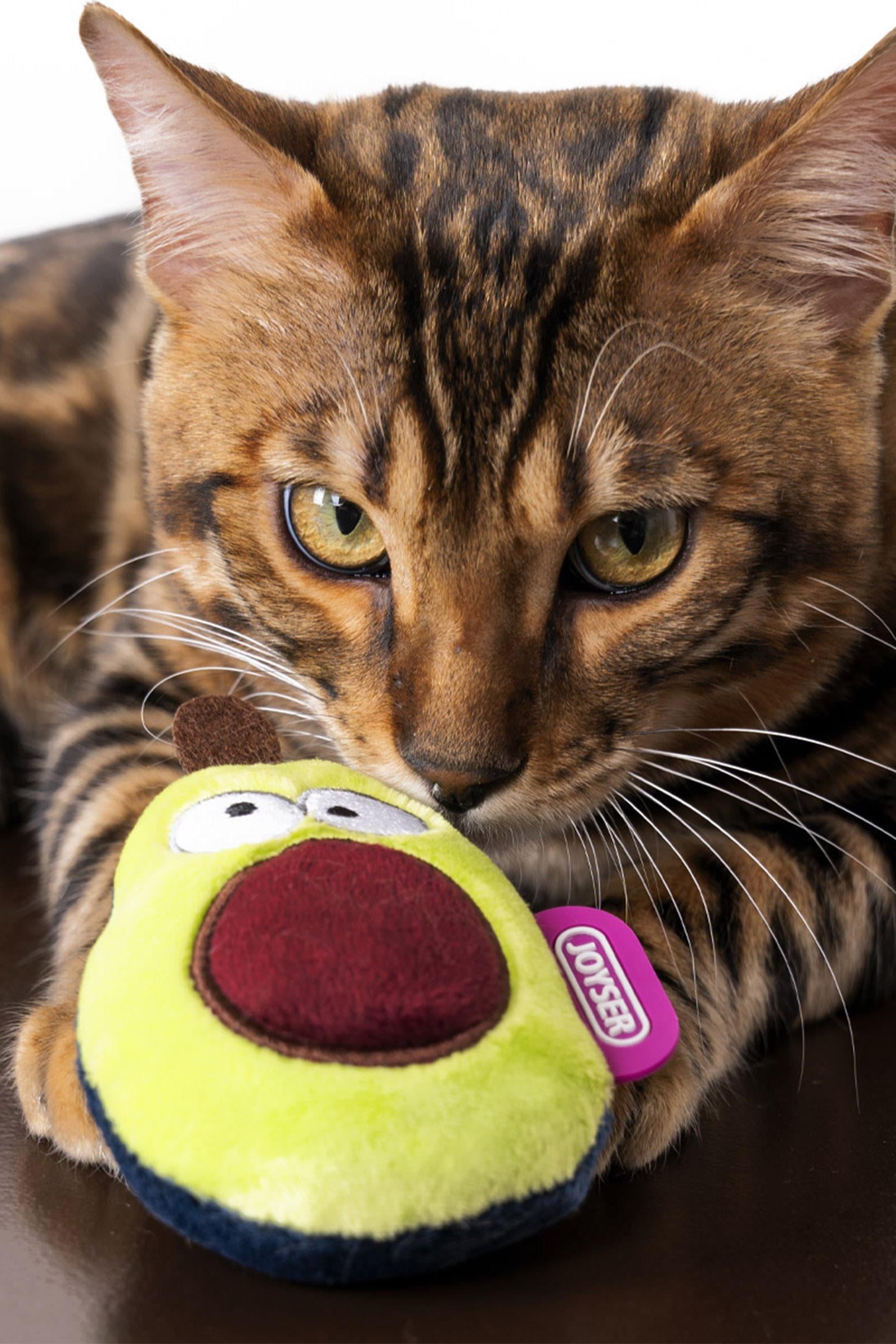 JOYSER Cats Eco Kedi Otlu Peluş Avokado Kedi Oyuncağı 10 cm