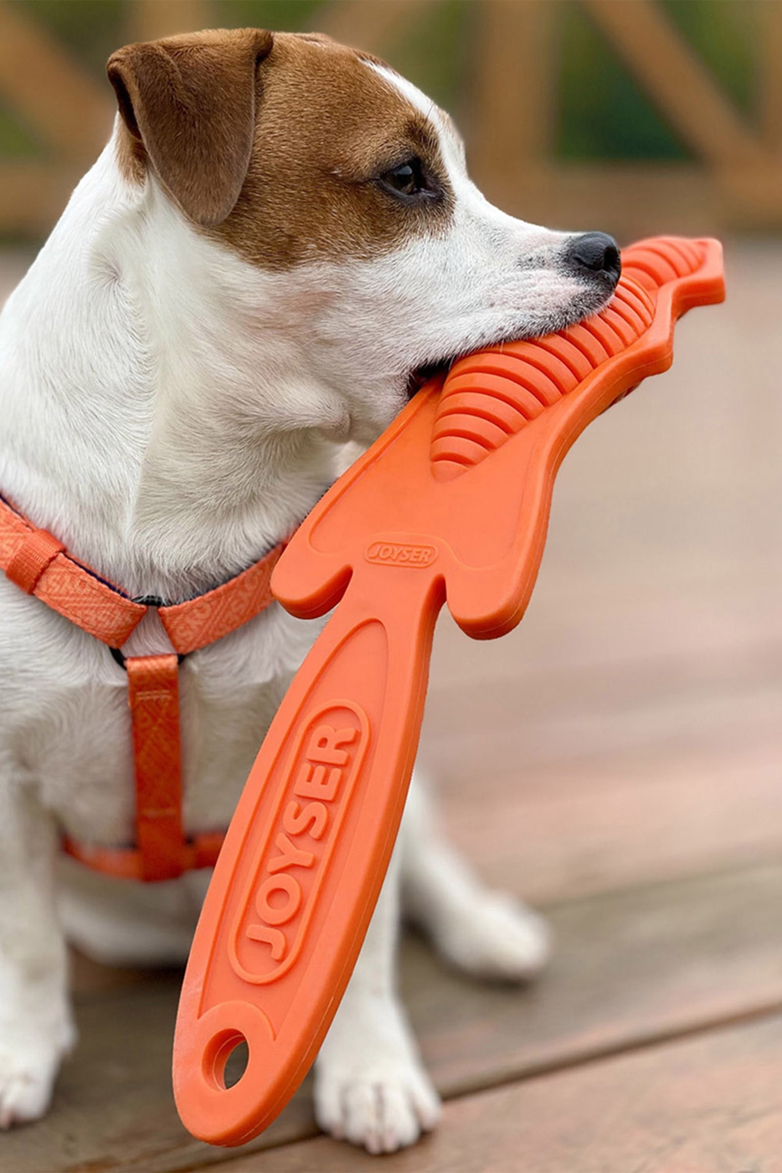 JOYSER Kauçuk Tilki Köpek Oyuncağı 45x11 cm