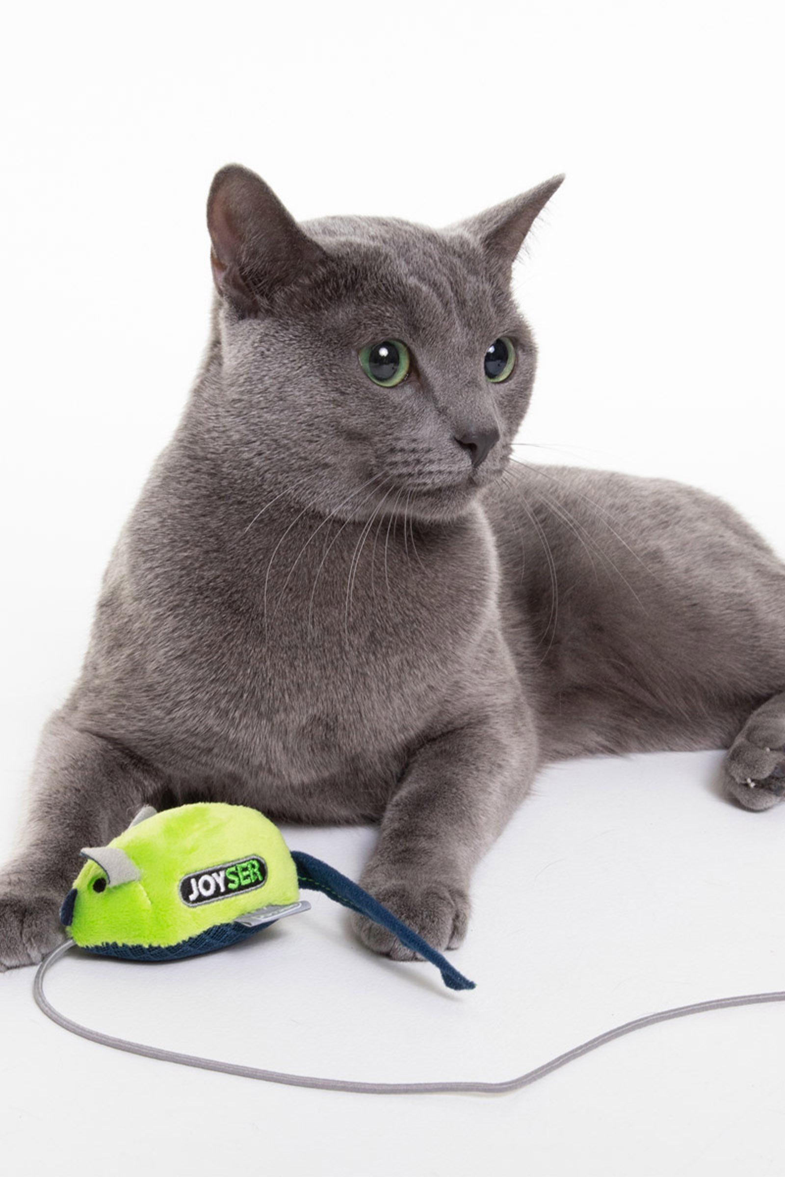 JOYSER Kedi Otlu Sesli Değnekli Kedi Oyuncağı 56 cm
