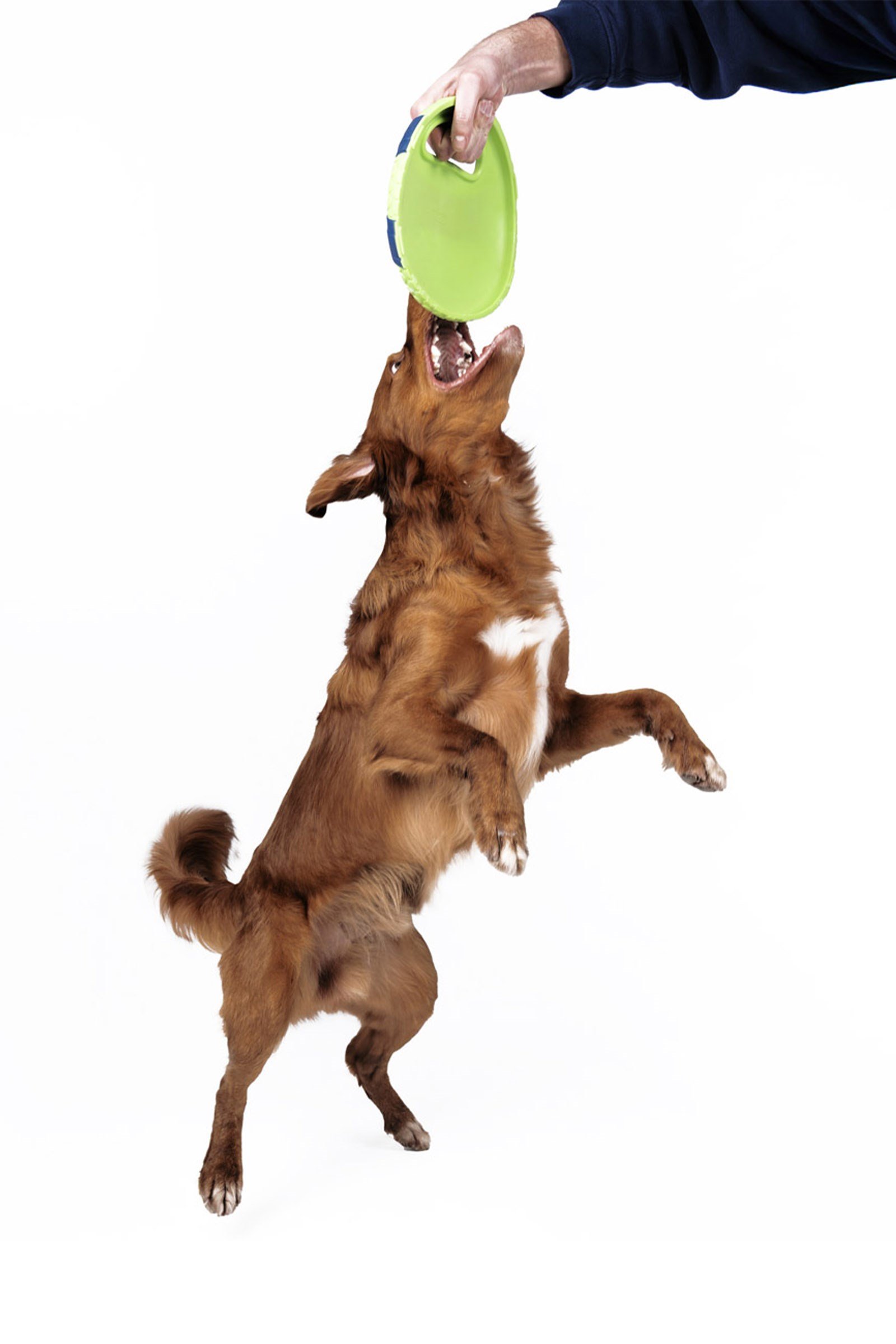 JOYSER Netrix Frisbee Hafif ve Köpük Frizbi Köpek Oyuncağı 24 cm