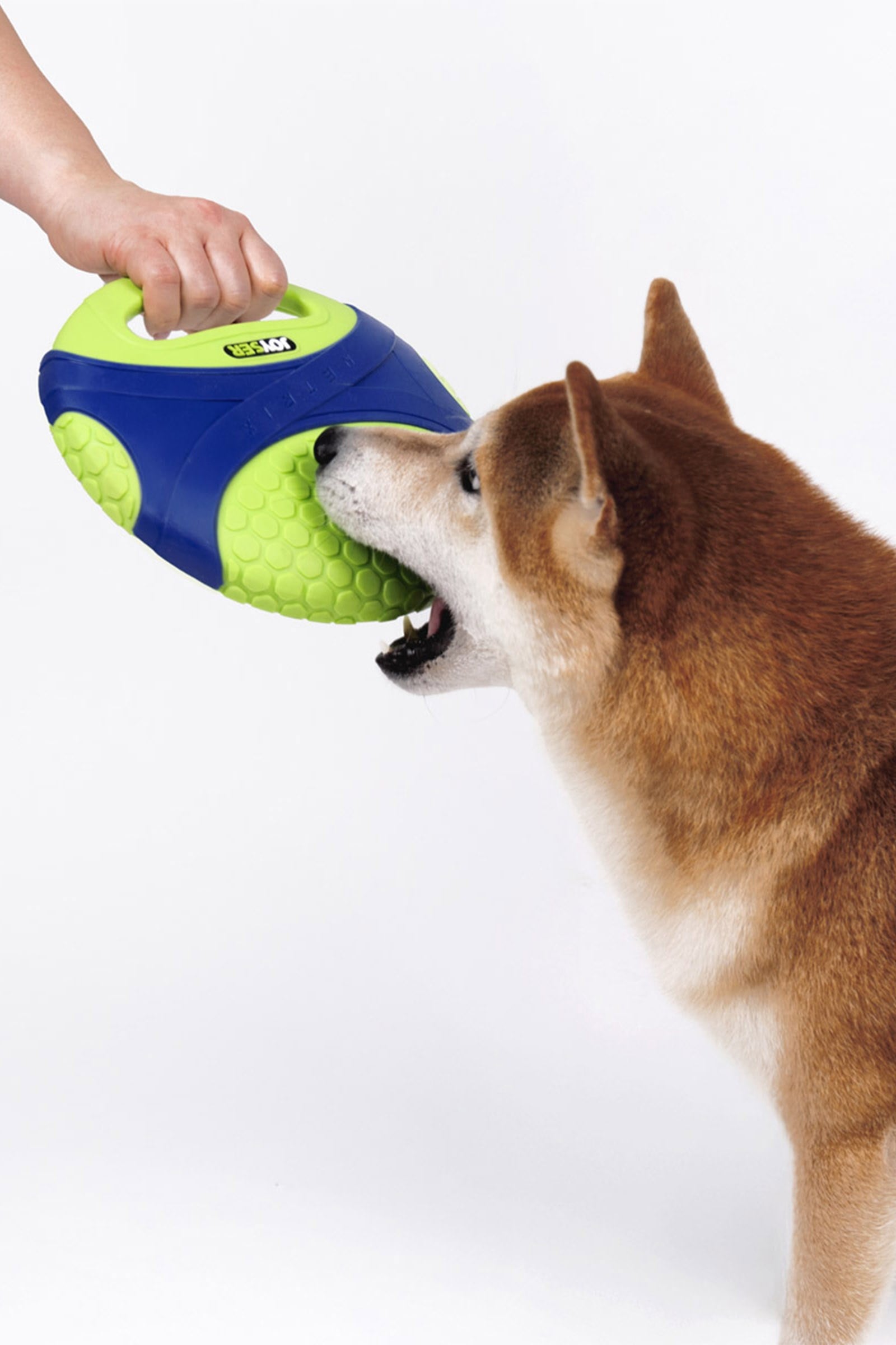 JOYSER Netrix Frisbee Hafif ve Köpük Frizbi Köpek Oyuncağı 24 cm