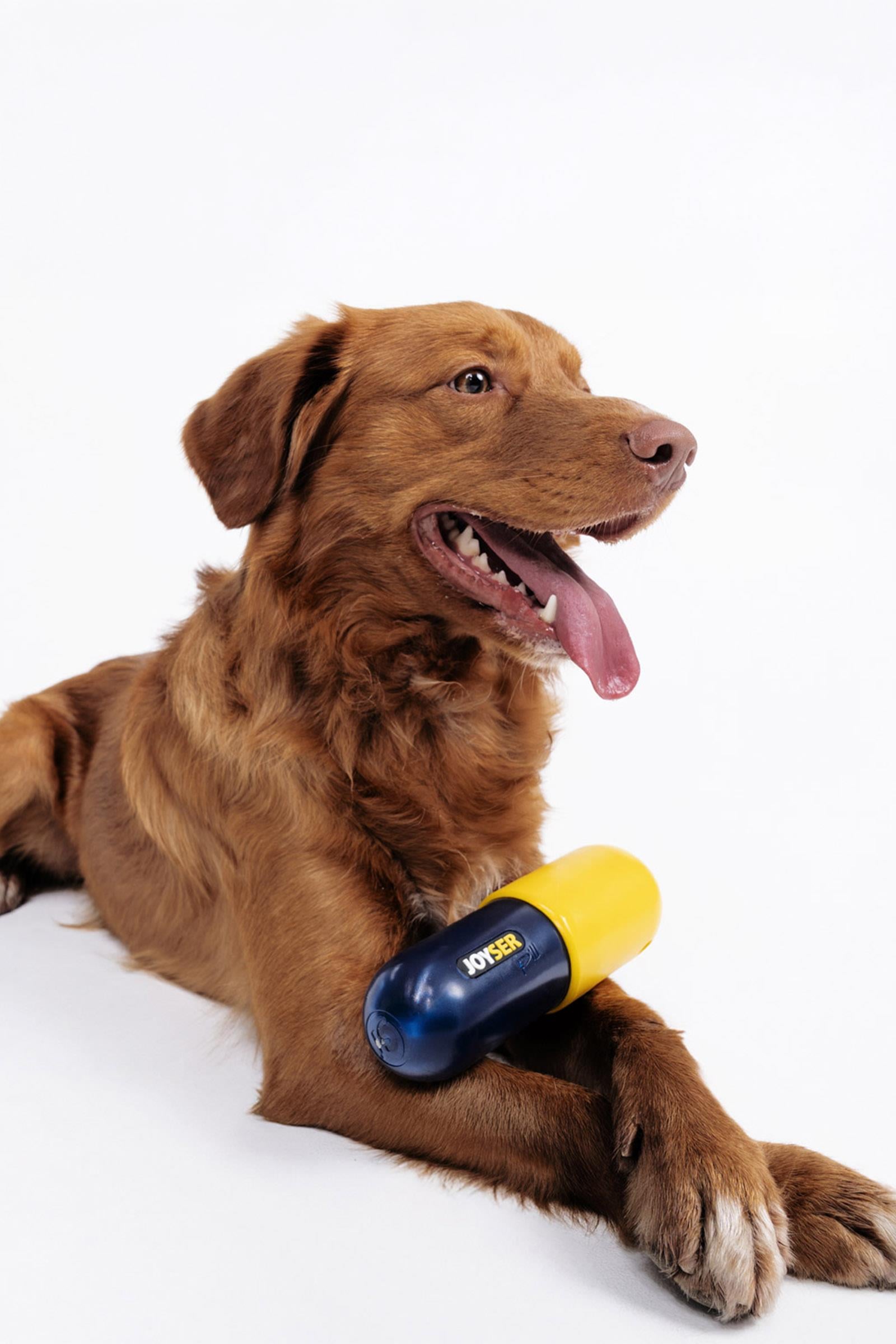 JOYSER Plus Kauçuk Hap Şeklinde Köpek Oyuncağı M/L