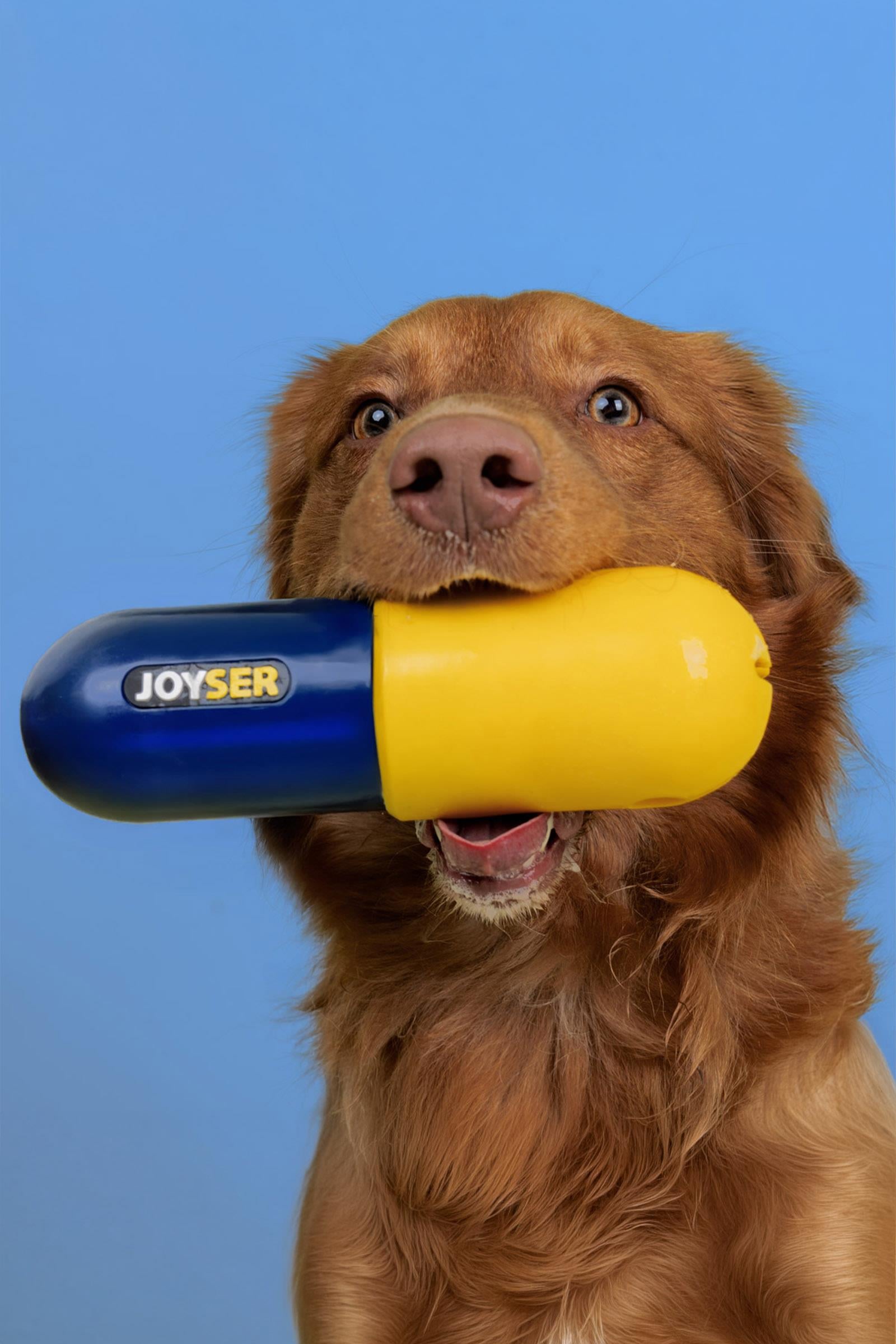 JOYSER Plus Kauçuk Hap Şeklinde Köpek Oyuncağı M/L