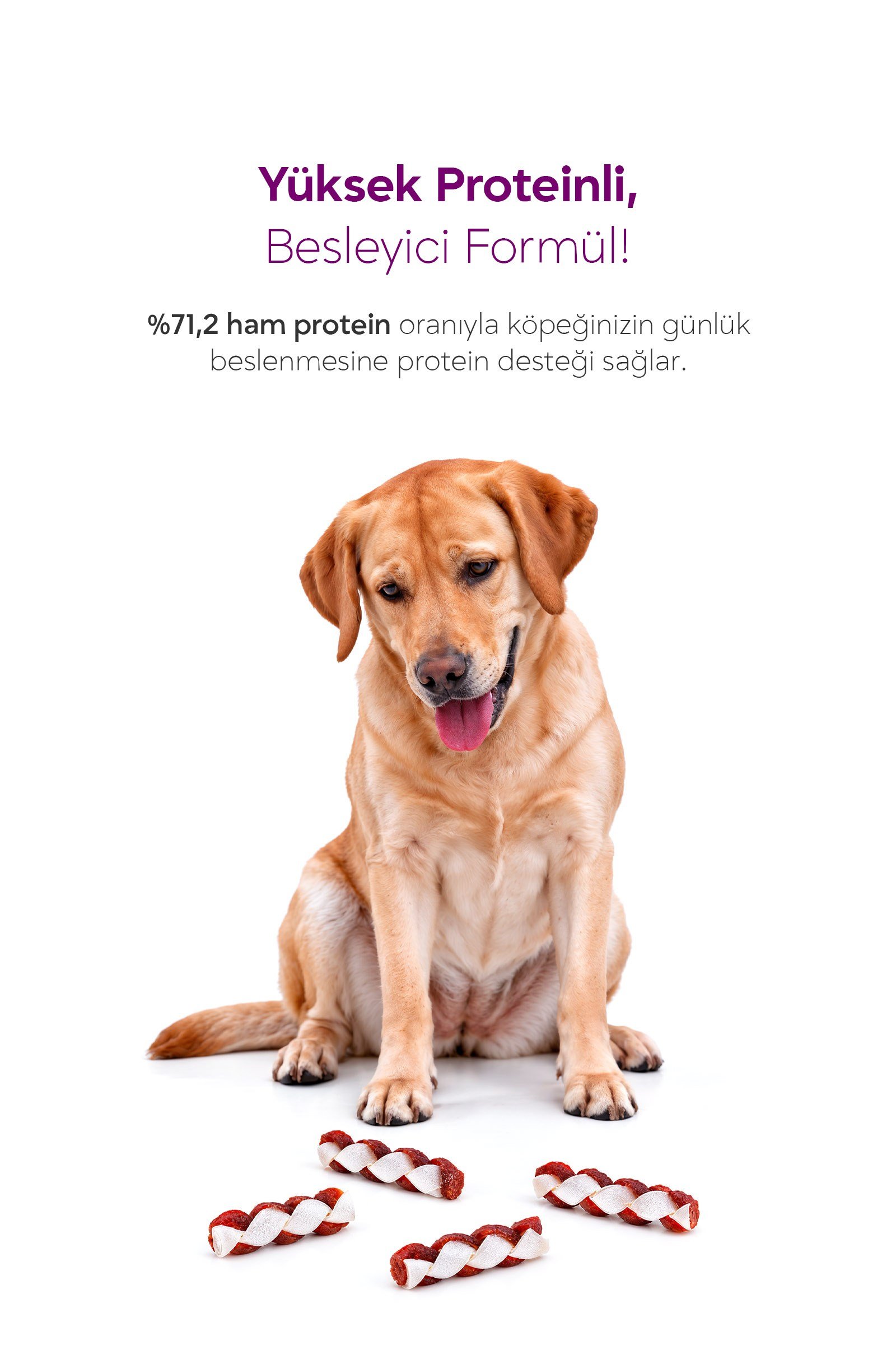 YAOWO 2,5 İnç Küçük Boy Burgu Örgü Köpek Çiğneme Ödülü 6 Adet 60 g