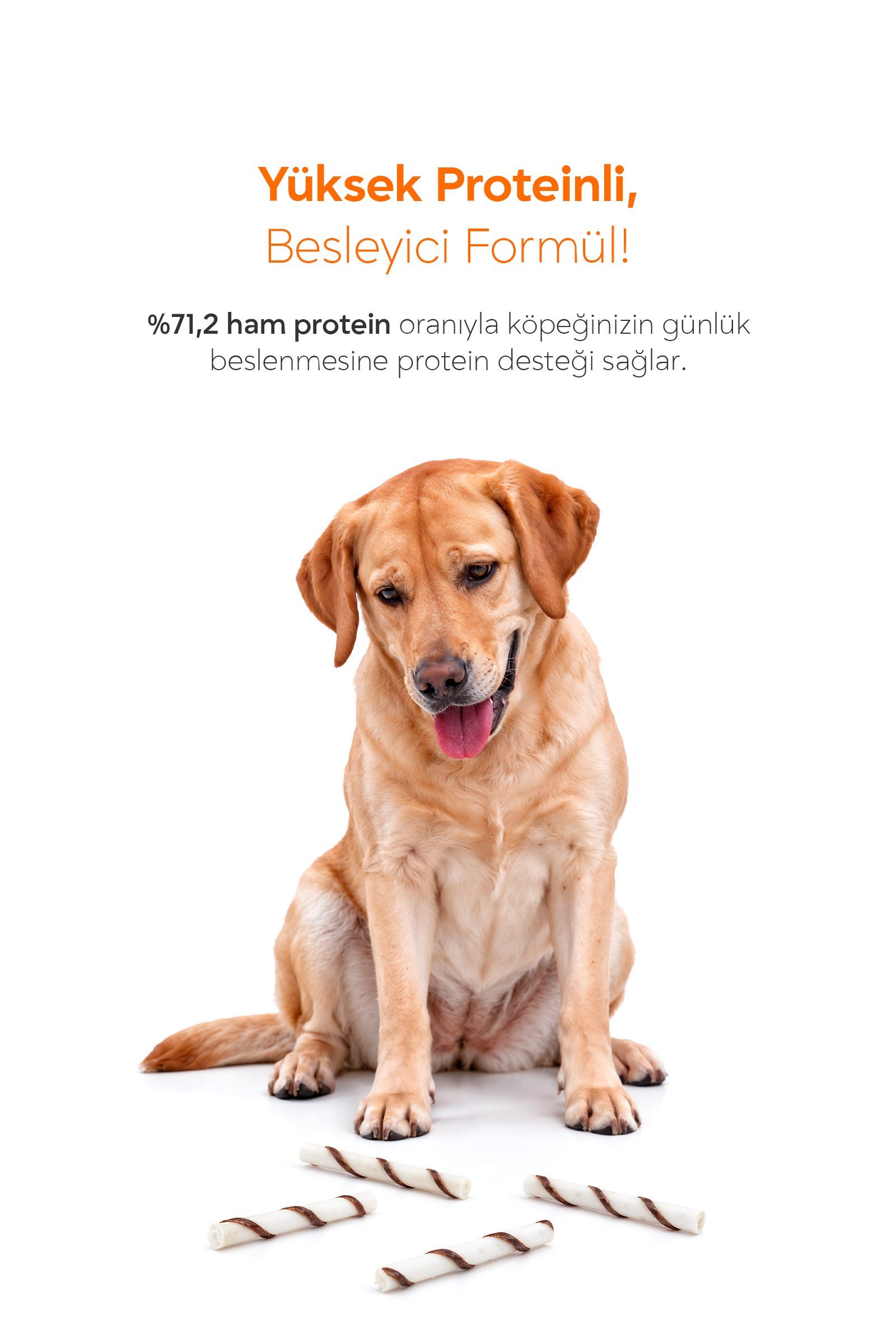 YAOWO 4 İnç Mini Rulo Çubuk Köpek Çiğneme Ödülü 12 Adet 60 g