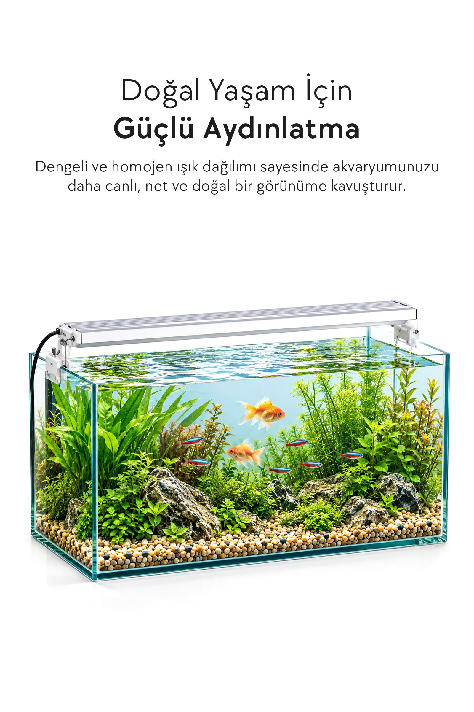 Zampa AQUA Jingming 5'i 1 Arada Akvaryum Seti