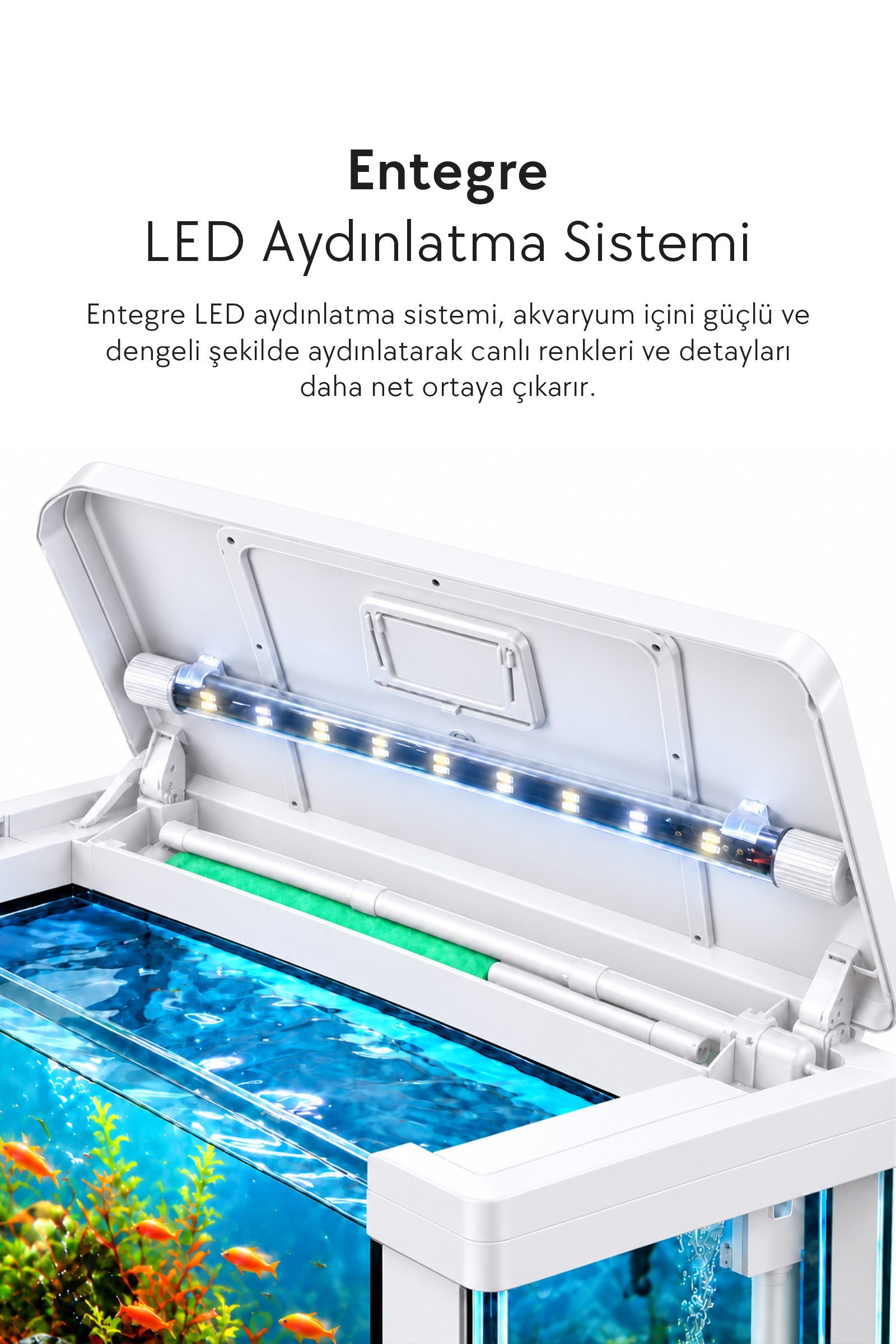 Zampa AQUA Jingming Akvaryum Beyaz 600×350×520 mm
