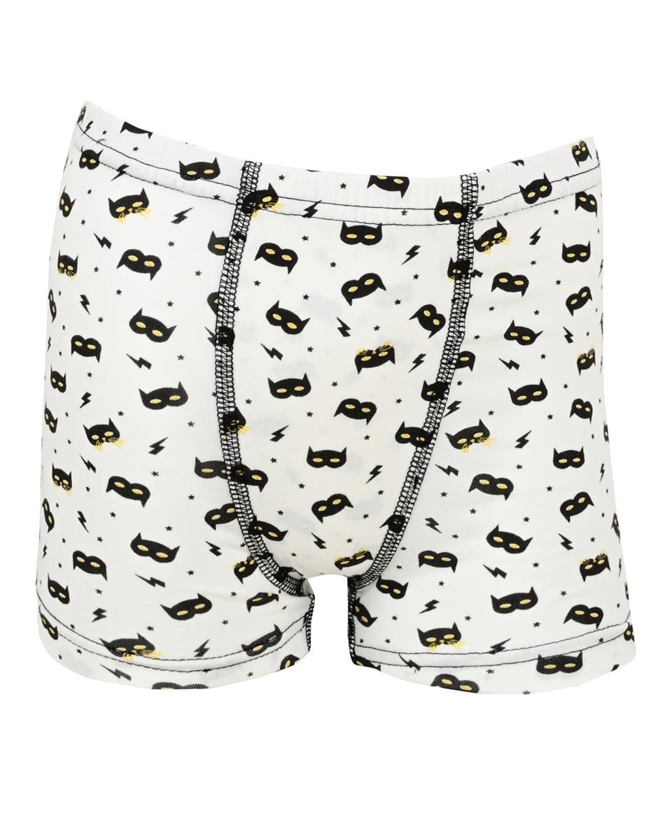 Erkek Çocuk Boxer Roar Aslan