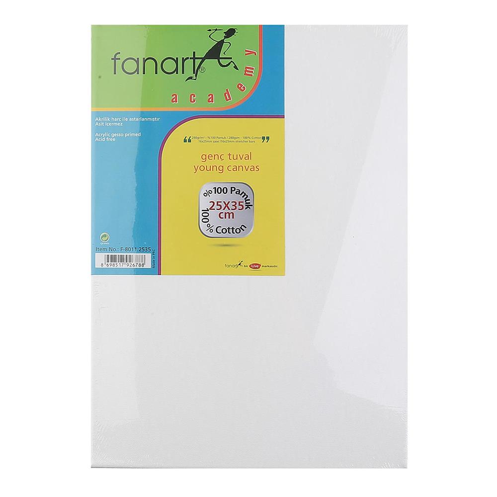 25 x 35 cm Tuval Boyama Seti