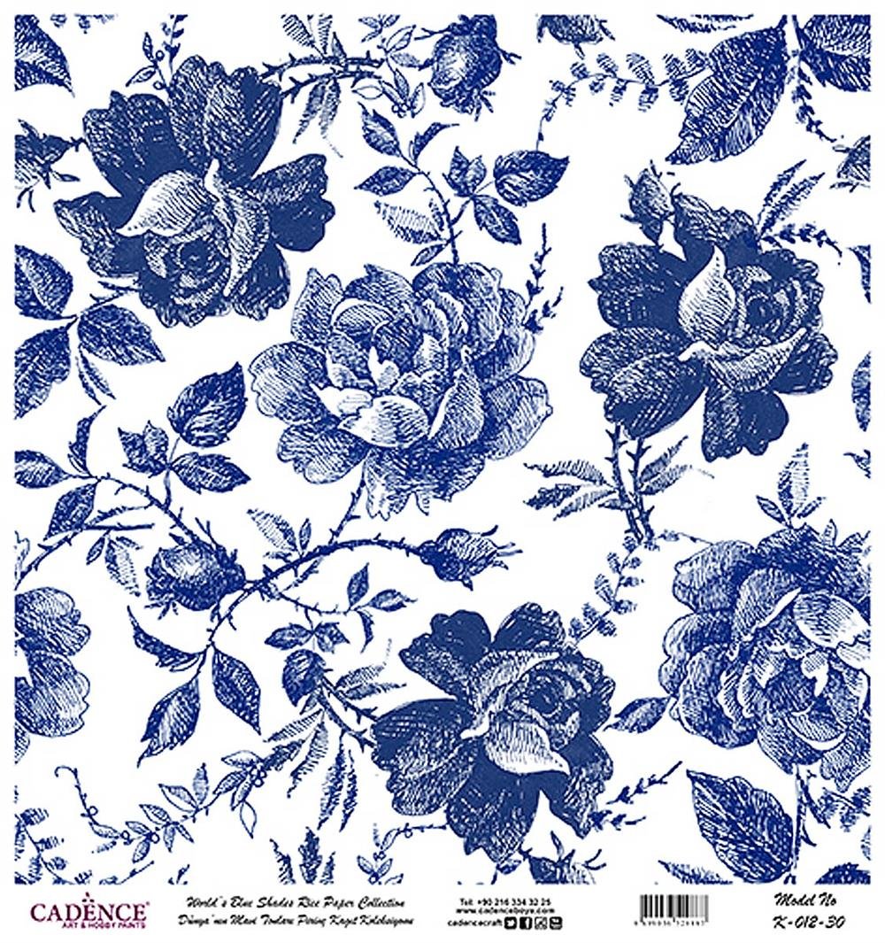 Dünya'nın Mavi Tonları Pirinç Kağıt 30x32 cm - K012