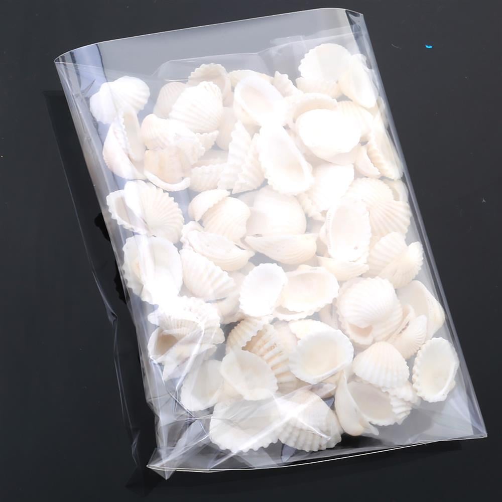 Mini Deniz Kabuğu Midye